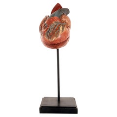 Anatomical model: a human heart, painted plaster and wood, Germany, early 1900
