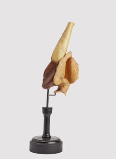 Anatomical model: a thyroid, Germany end of 18th century.