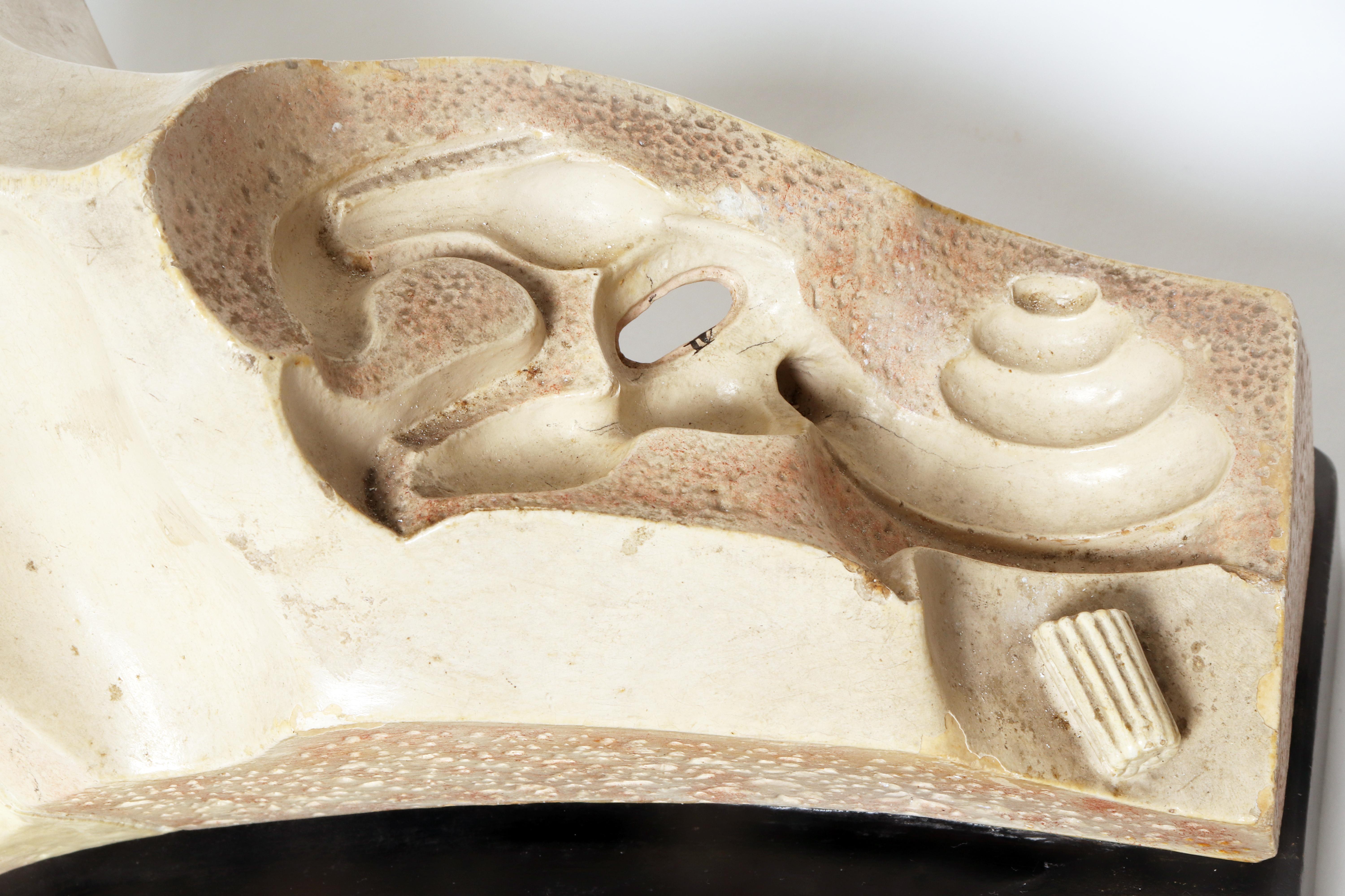 Anatomical model: an external and inner ear, Germany early 20th century. For Sale 5
