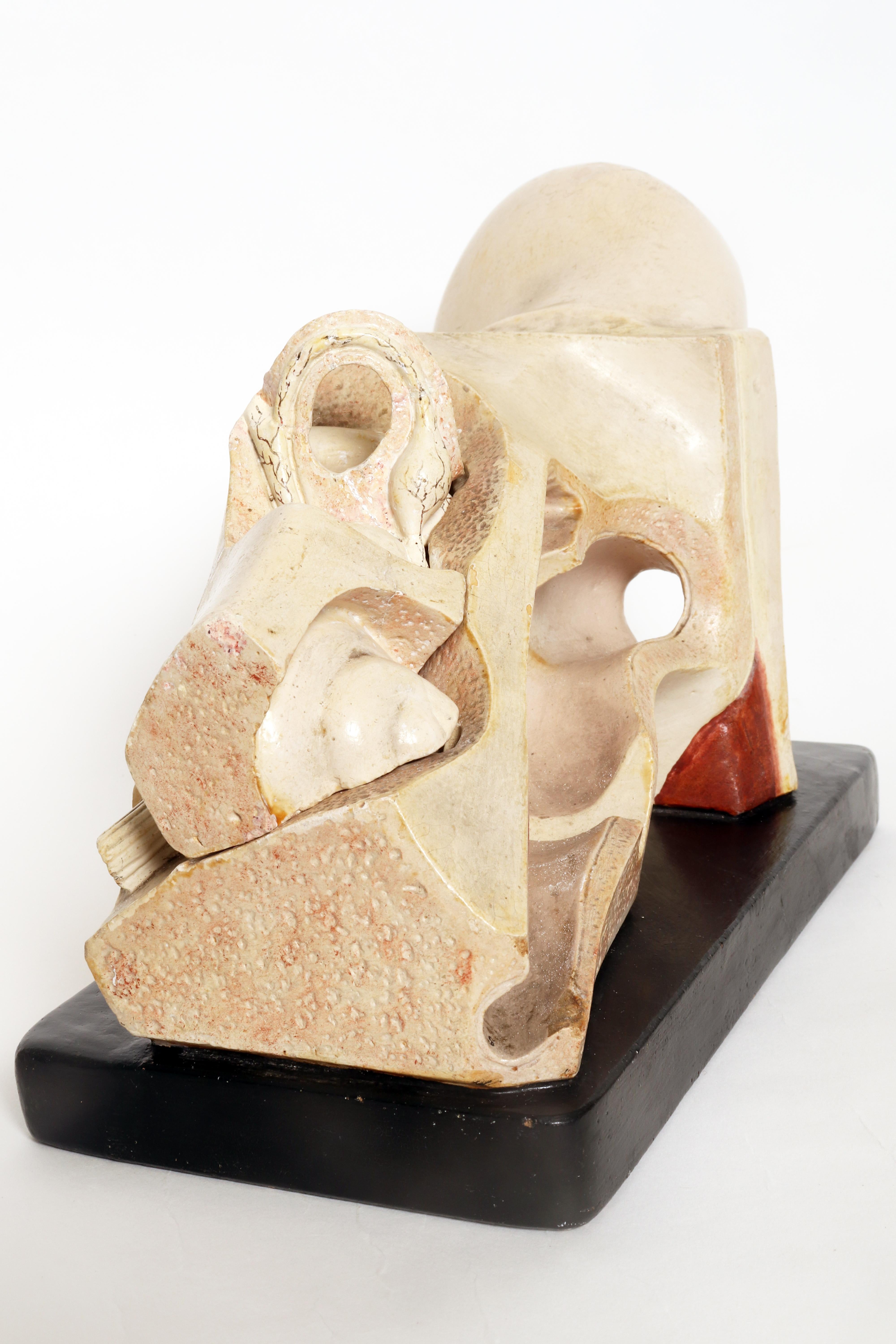 Anatomical model: an external and inner ear, Germany early 20th century. For Sale 9