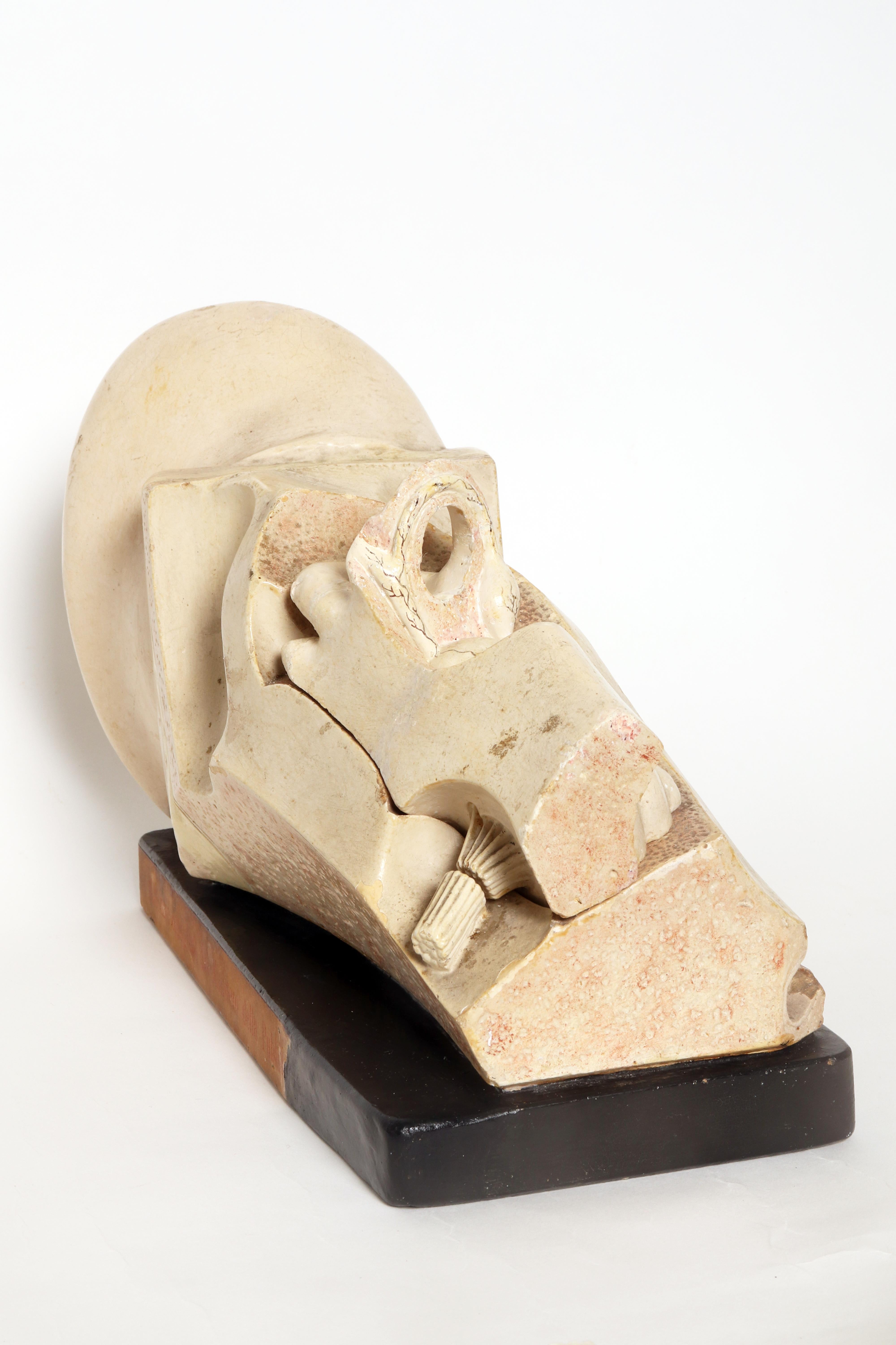 Anatomical model: an external and inner ear, Germany early 20th century. For Sale 2