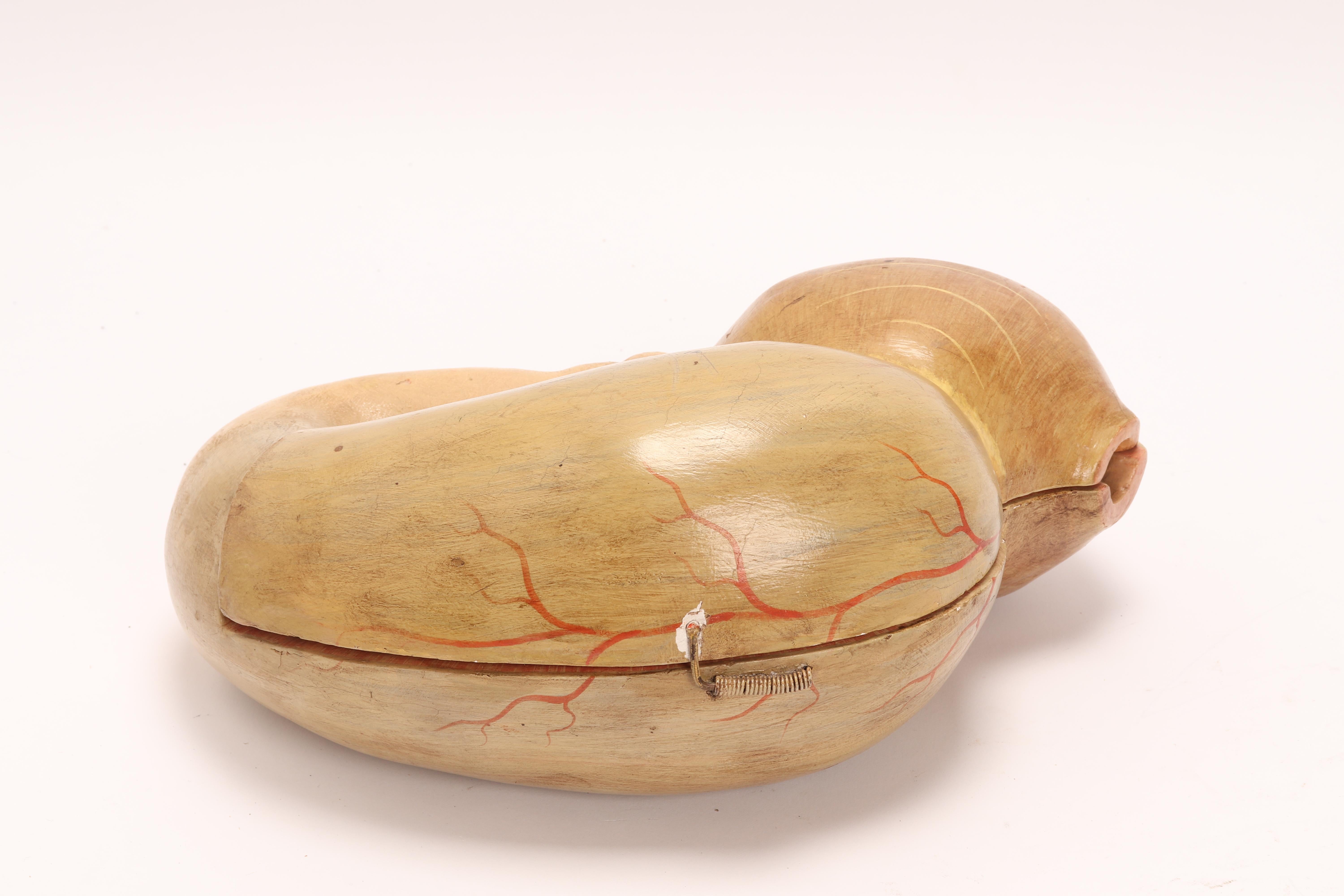 19th Century Anatomical Model Depicting a Stomach, Italy 1890 For Sale