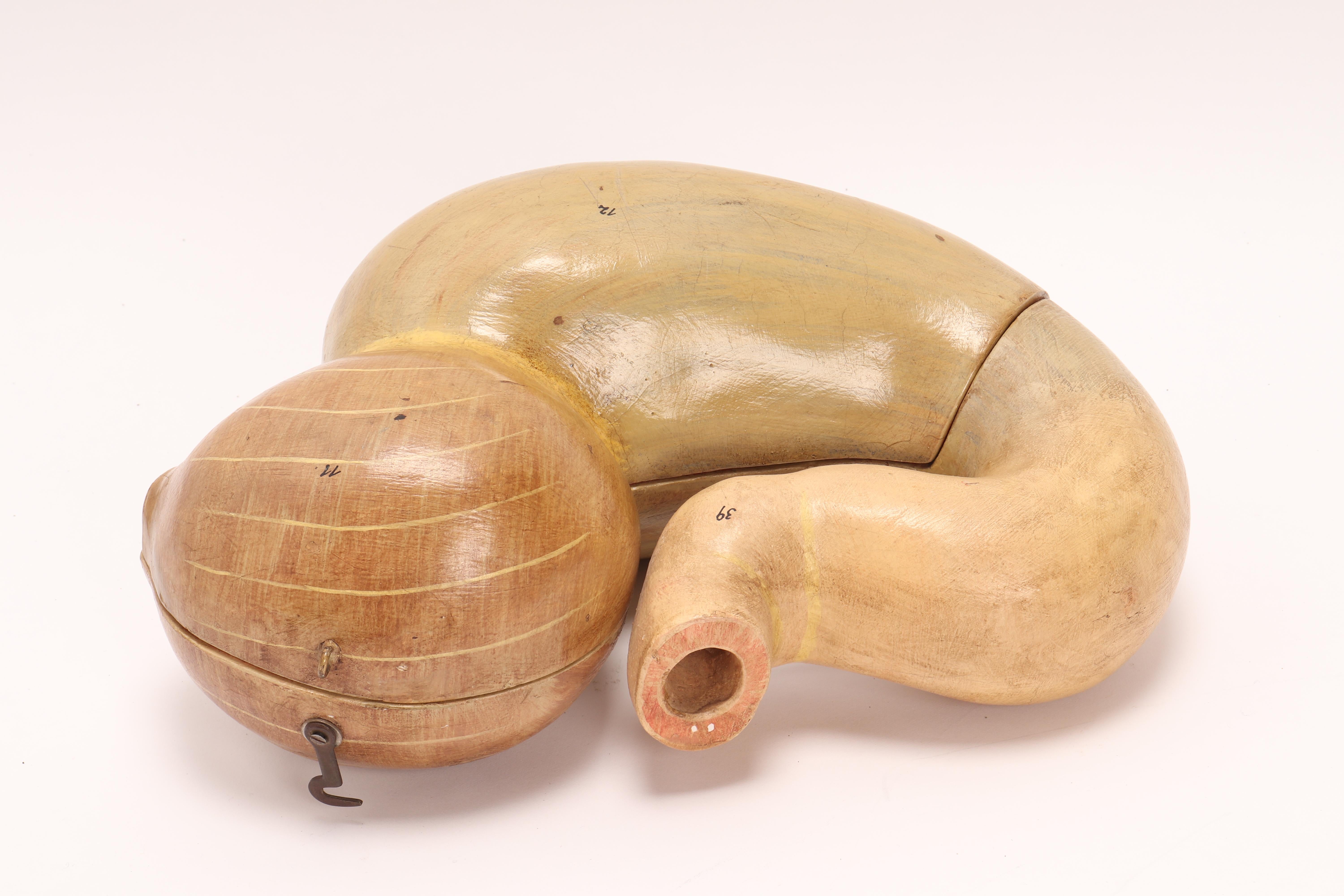 Metal Anatomical Model Depicting a Stomach, Italy 1890 For Sale