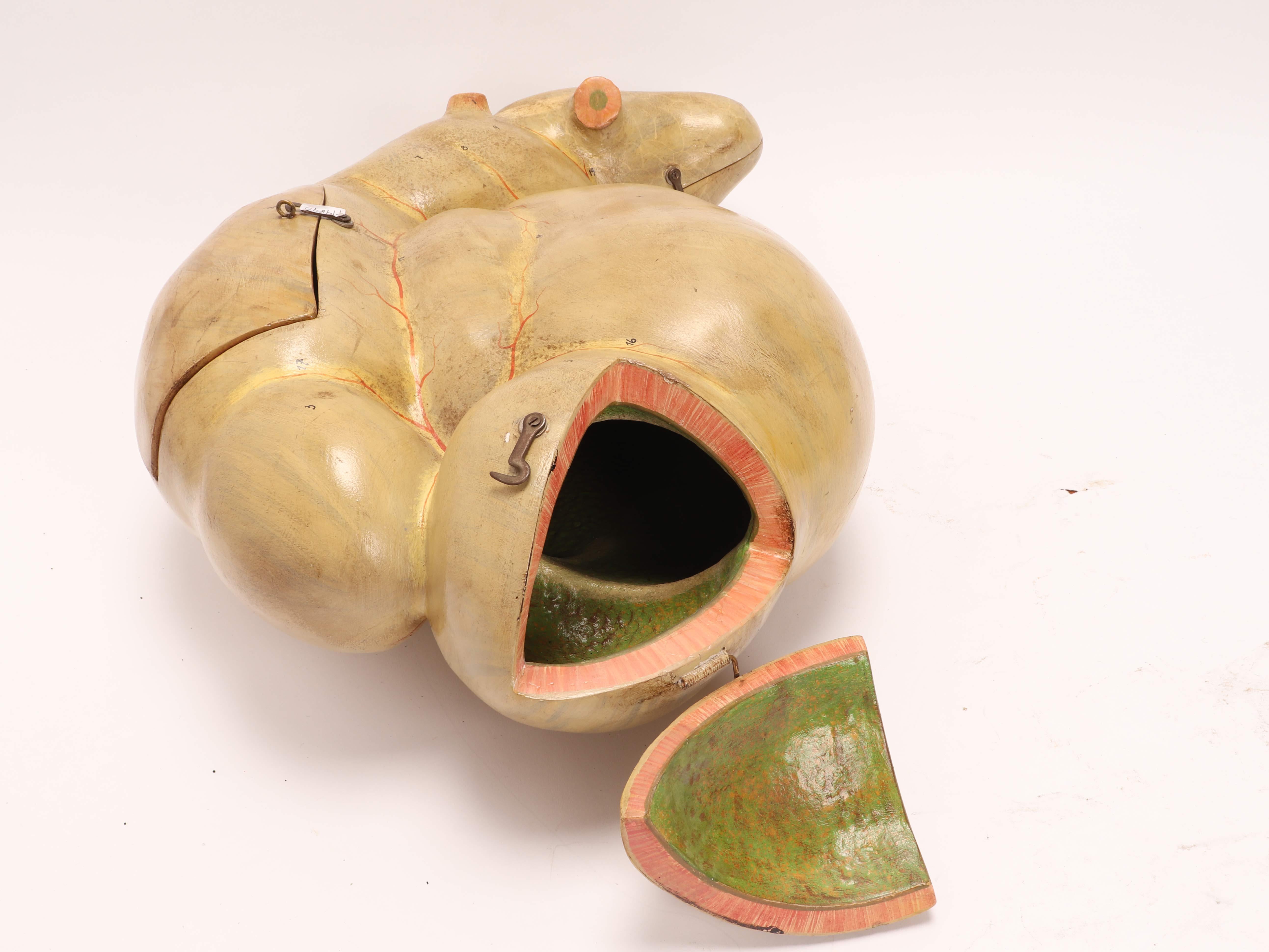 Italian Anatomical Model Depicting an Intestine, Italy 1890 For Sale