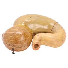 Anatomical model for class: an animal stomach, Italy 1890.