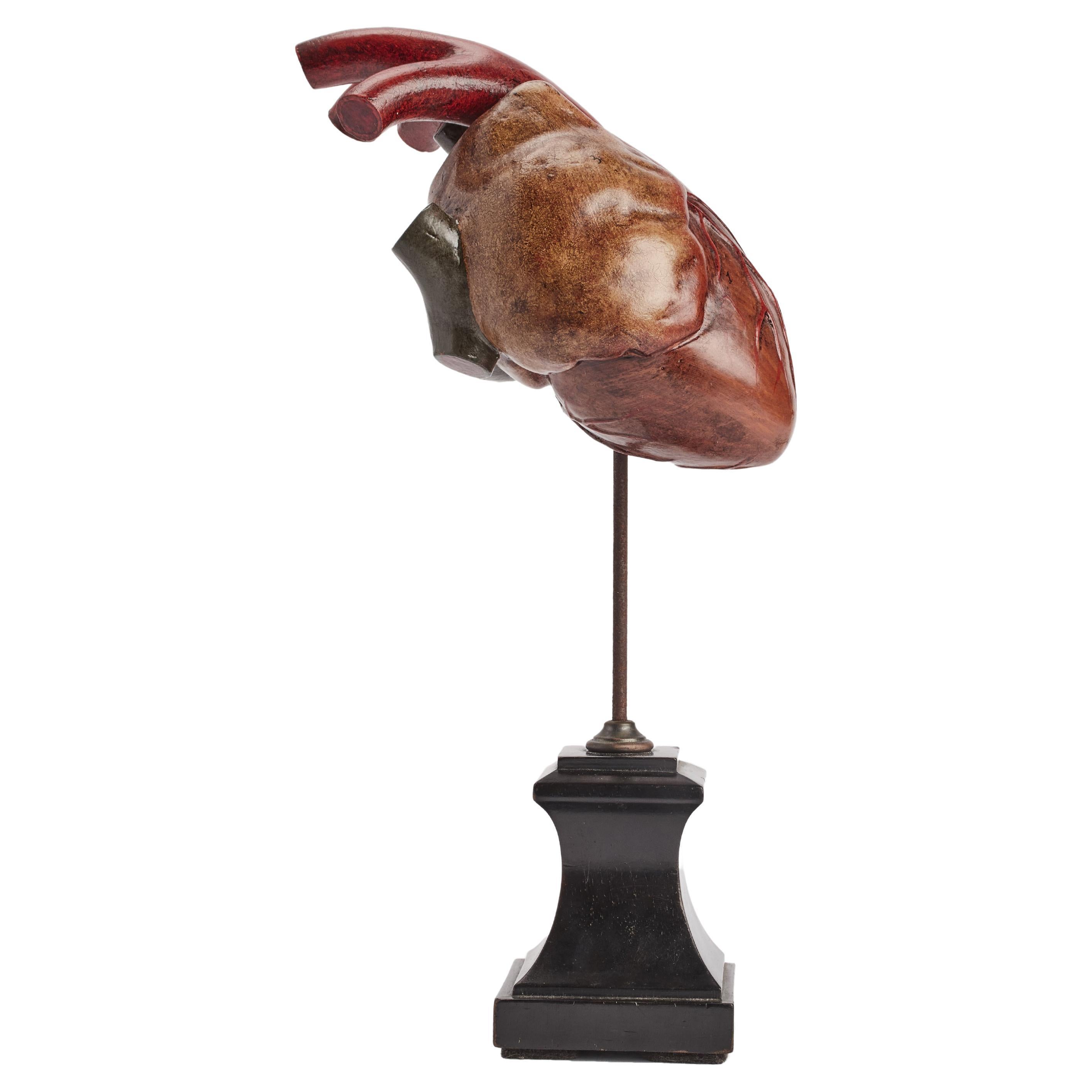 Anatomical removable model for school of a heart made out of painted papier mache’ mounted on an ebony wooden base. France, circa 1890.