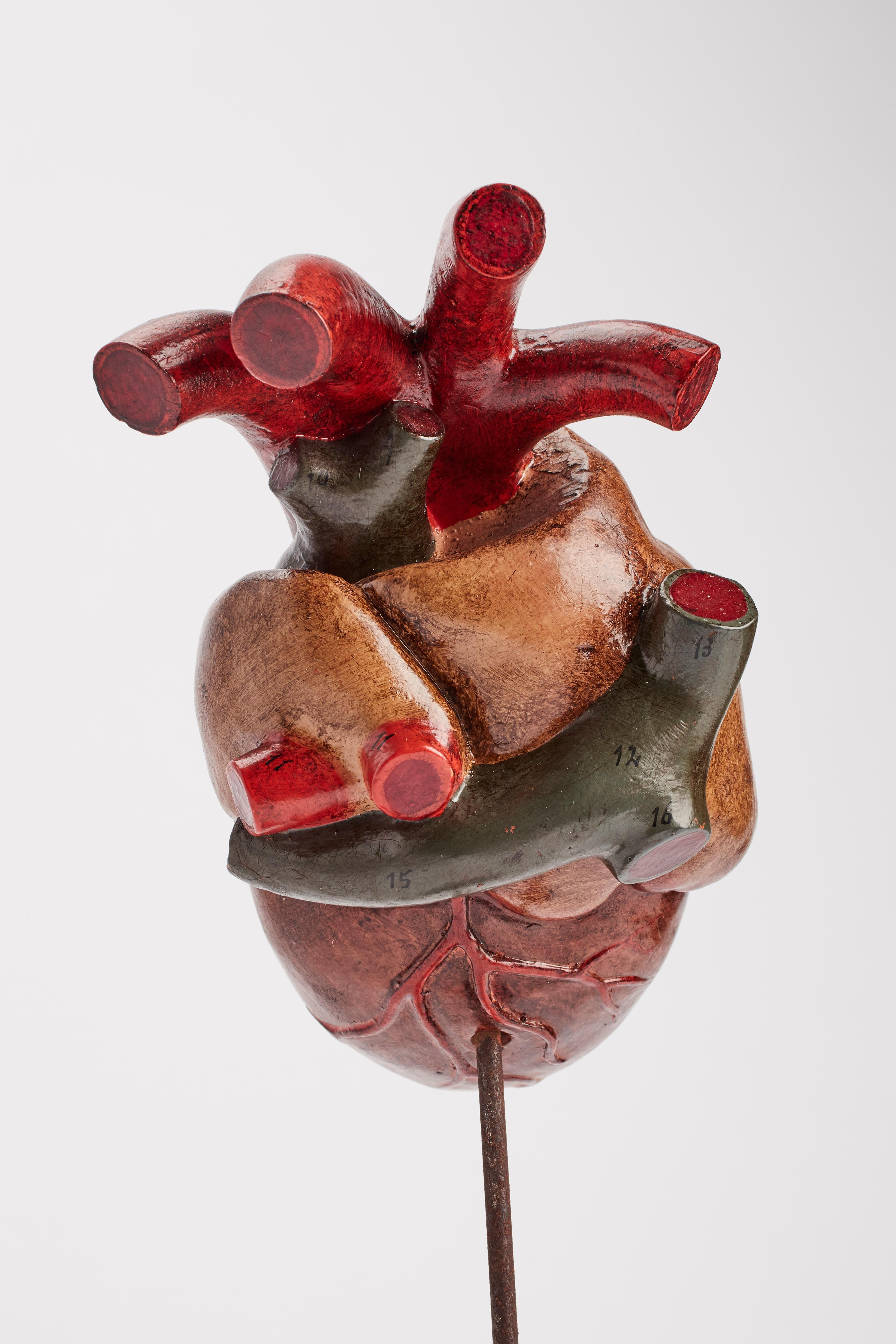 paper mache anatomical heart