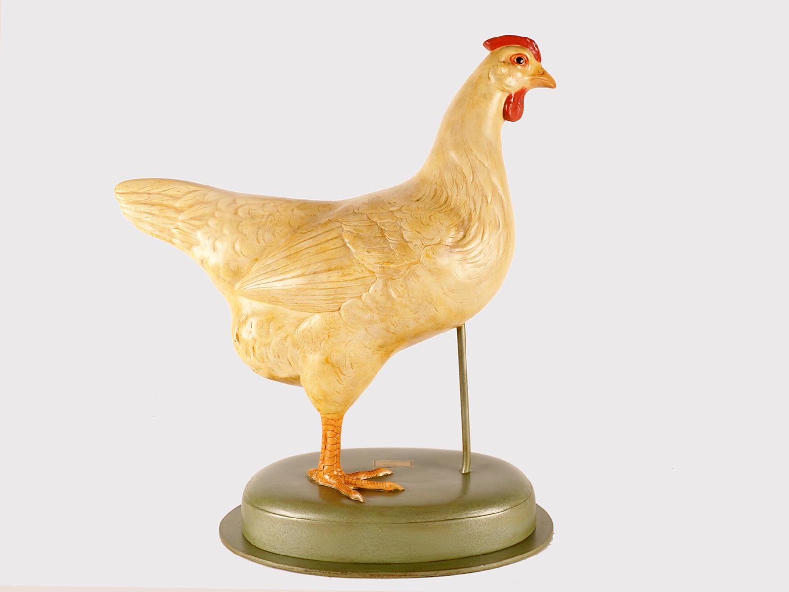 Ein lebensgroßes anatomisches Modell eines Huhns mit trennbaren anatomischen Teilen für den Unterricht. Hergestellt aus bemaltem Gips, Holz- und Metallsockel. Somso, Deutschland, um 1930.