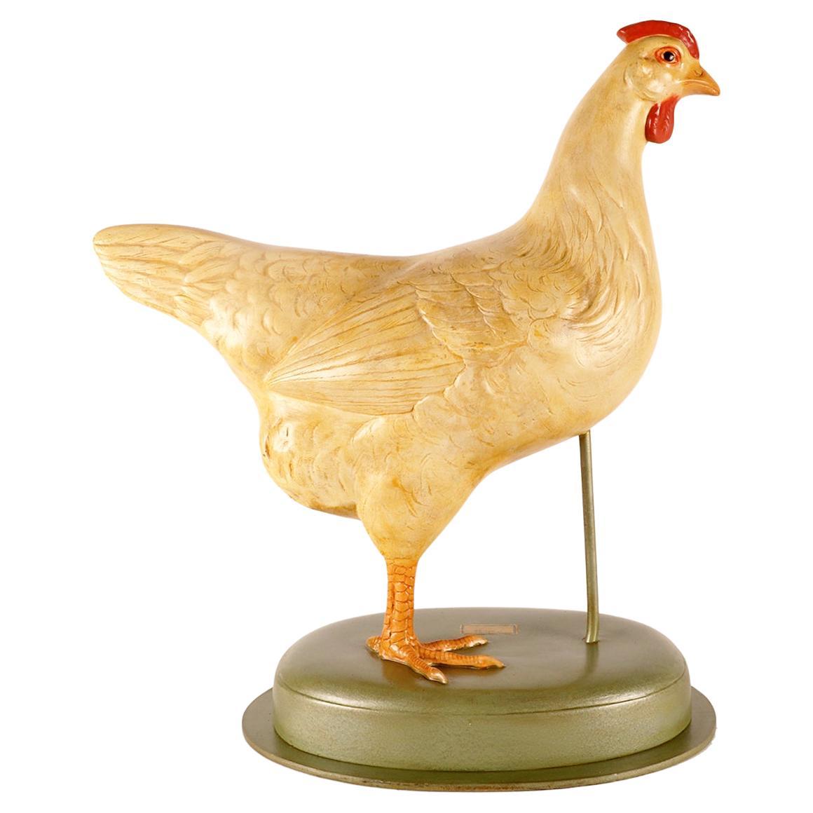 Anatomical model of a chiken, Germany 1930. For Sale