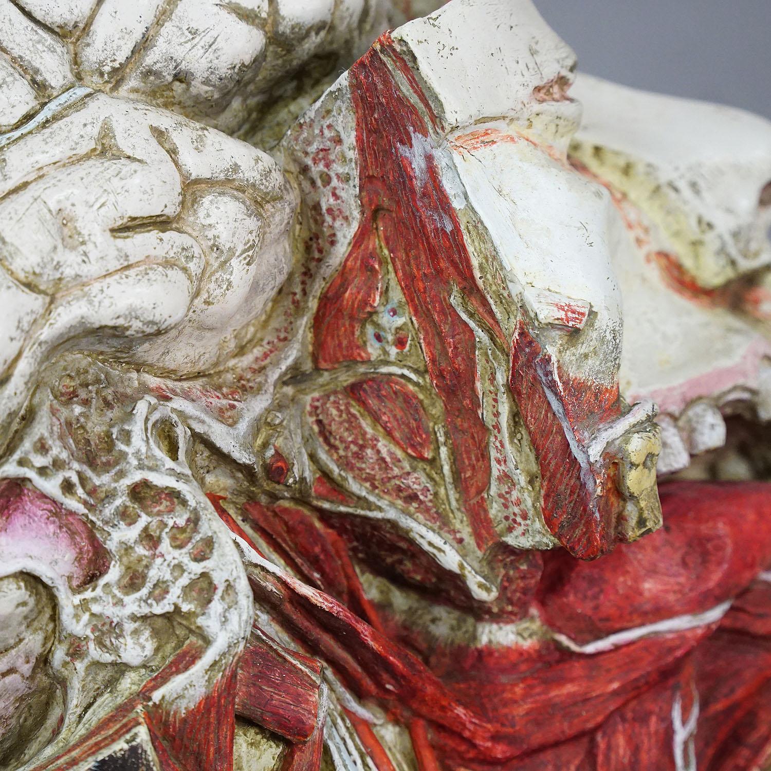 20th Century Anatomical Model of a Dissected Head by Nicolas-augier-roux, circa 1920