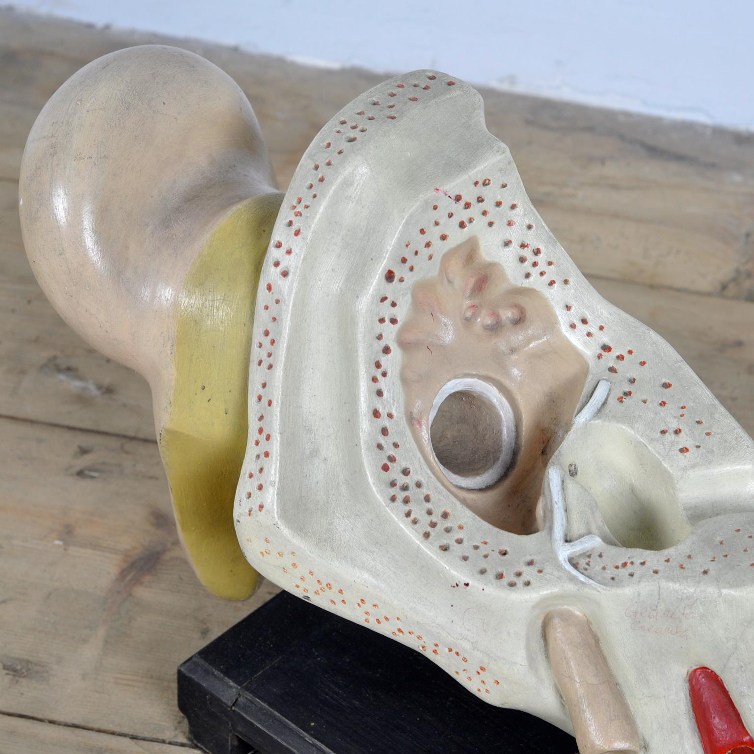 Anatomical Model of the Ear, 1952 For Sale 1