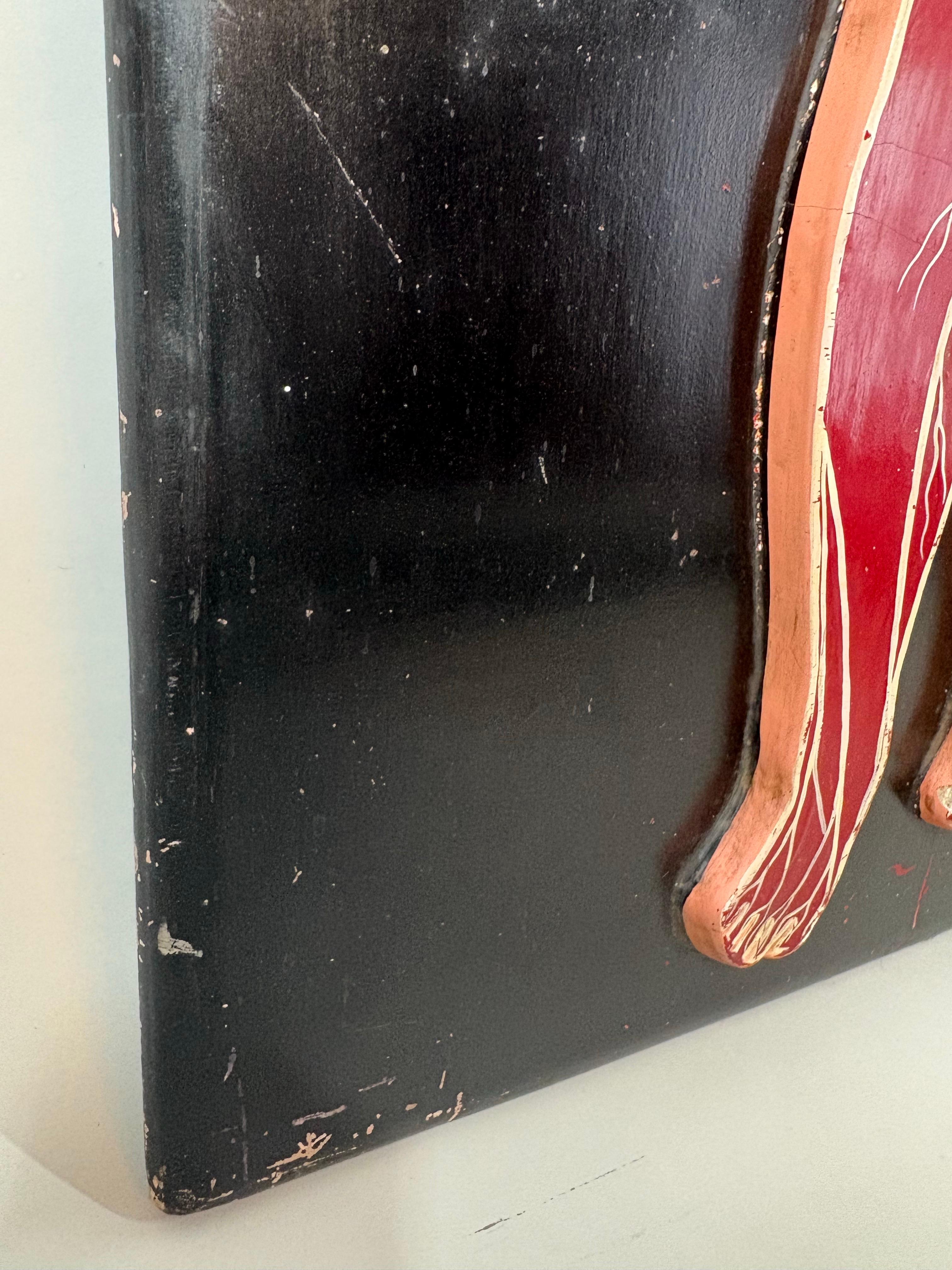 Anatomical model of the human Circulatory system circa 1920 en vente 1