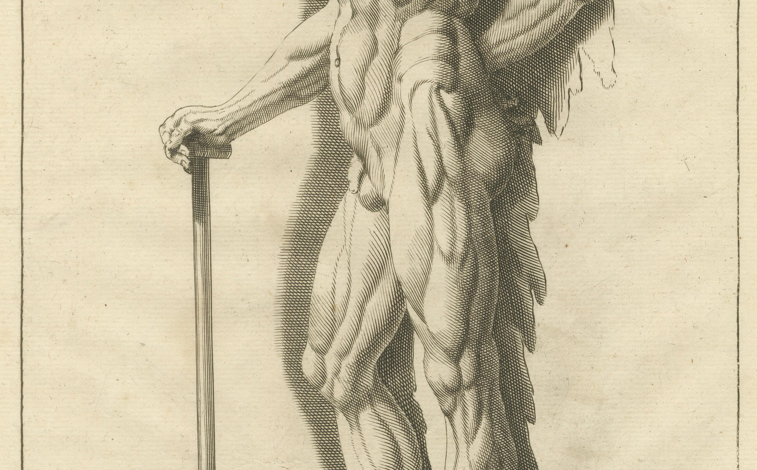 Anatomical Muscle Figure with Shovel Academic Engraving German, ca.1745