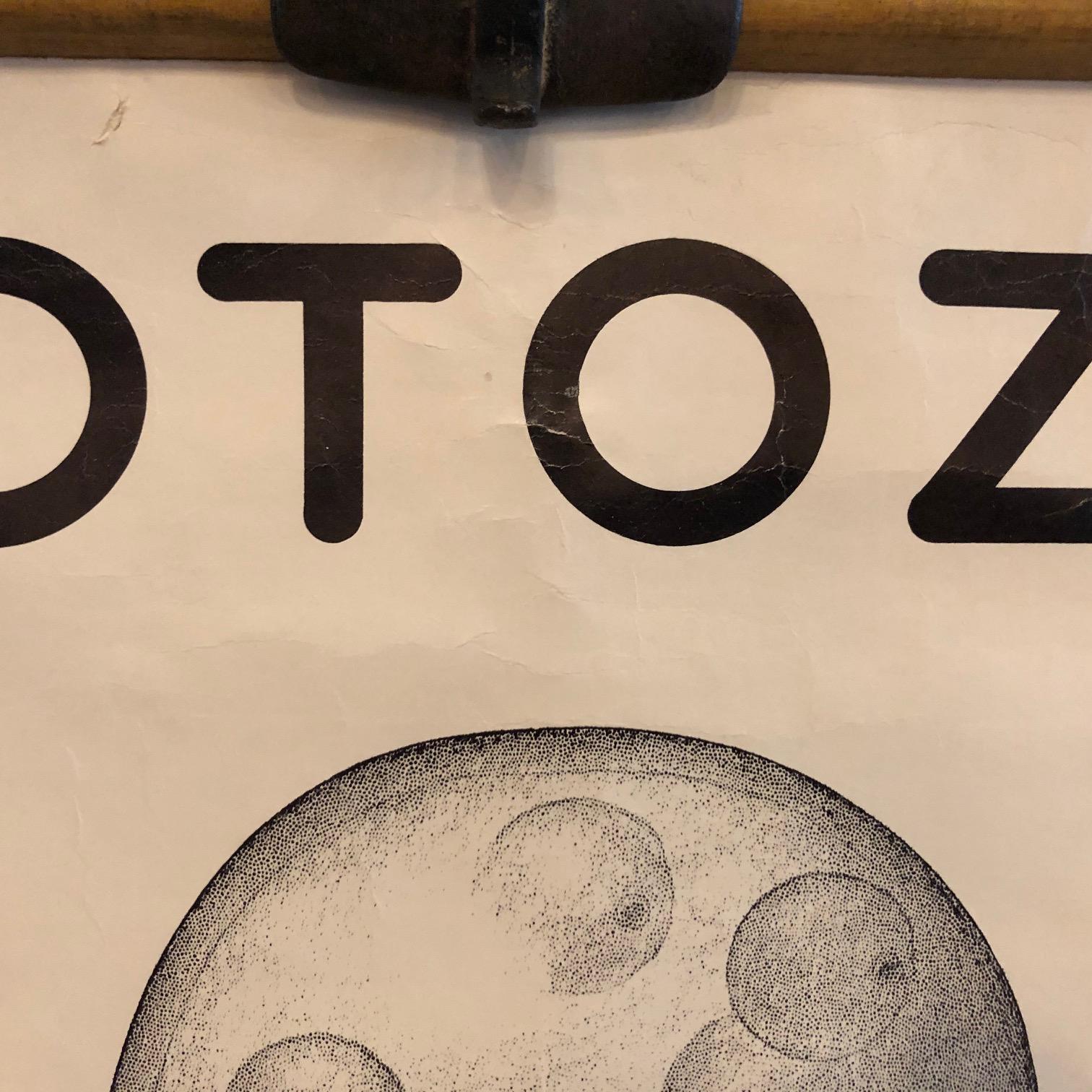 Grafico anatomico degli organismi protozoi di New York Scientific  Supply Co. in vendita 4