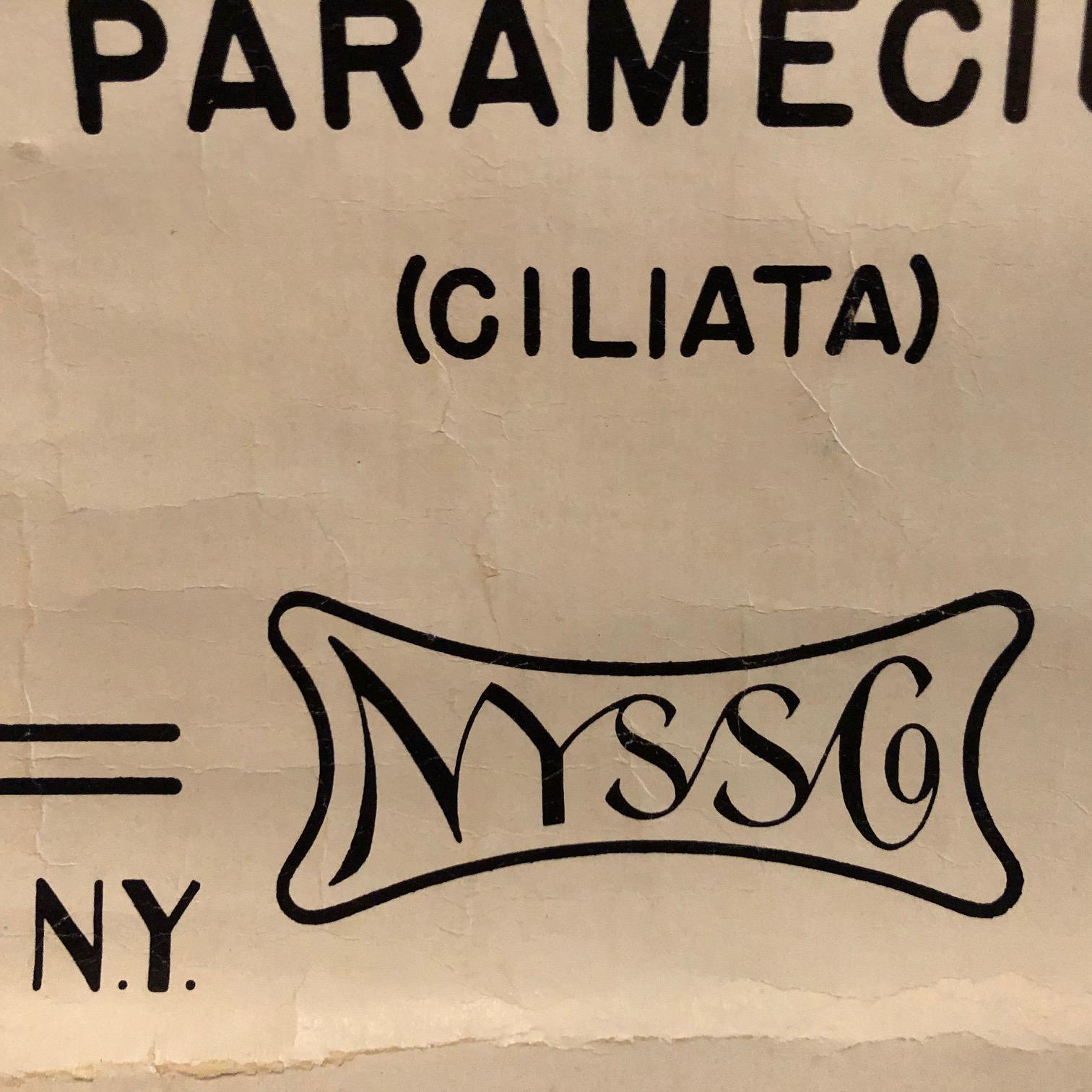 Anatomische Protozoa- Organismen-Karte der New Yorker Wissenschaft  Versorgung Co. im Angebot 1