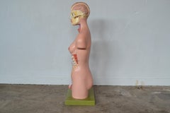 Anatomical Sculpture by Marcus Sommer for Somso, 1960s