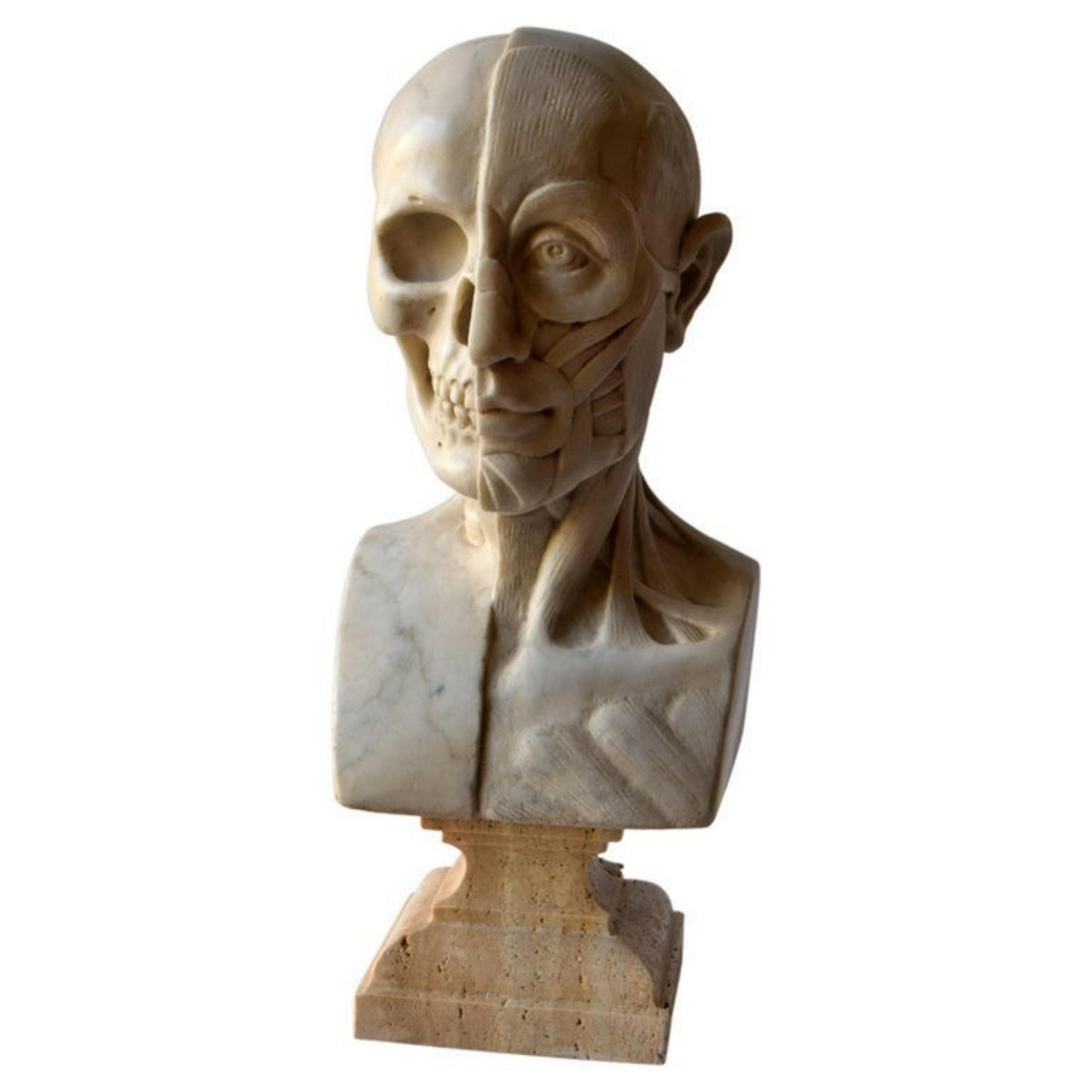 Anatomical Sculpture in White Carrara Marble, Early 20th Century For Sale 4