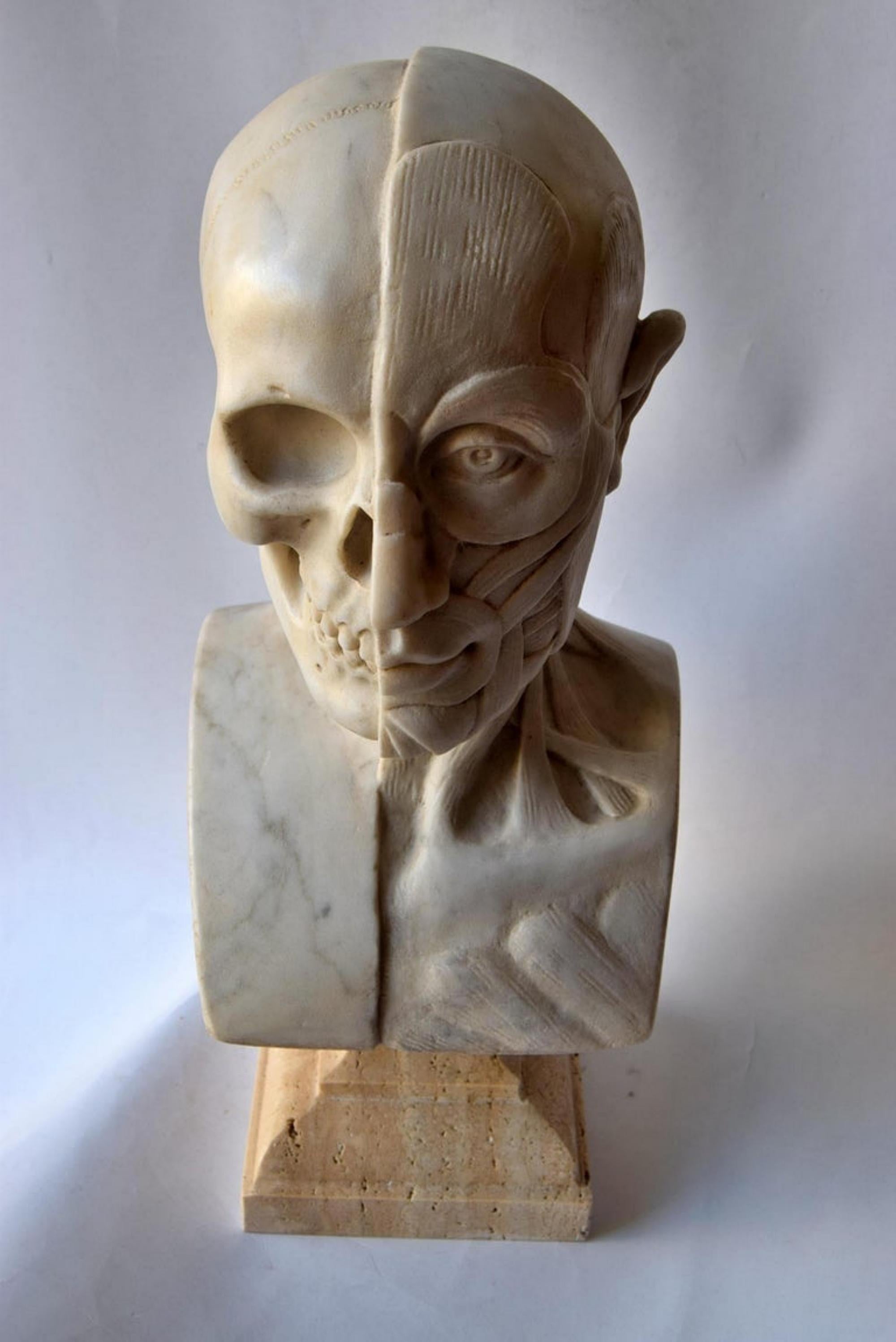 Anatomical Sculpture in White Carrara Marble, Early 20th Century In Good Condition For Sale In Madrid, ES