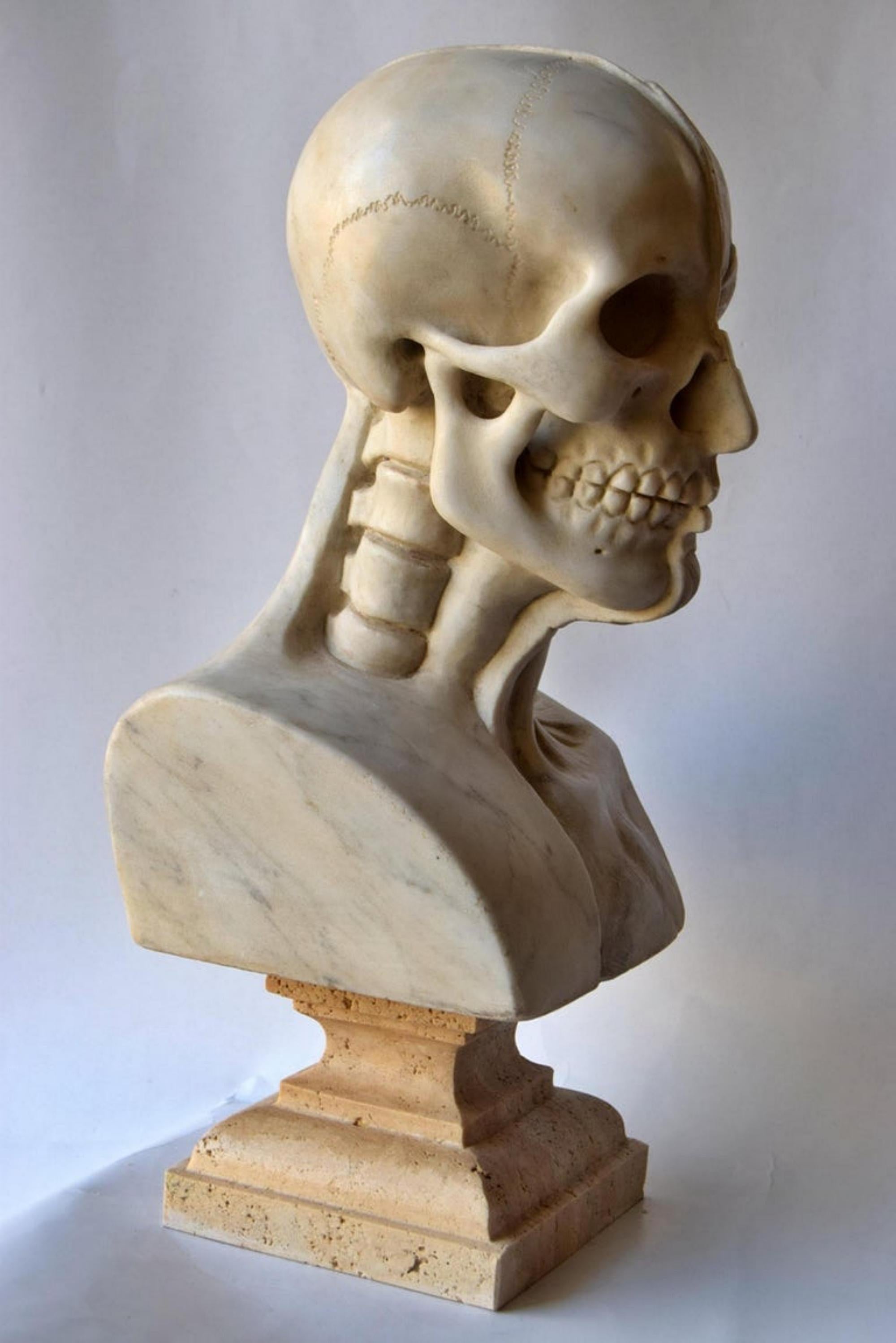 Anatomical Sculpture in White Carrara Marble, Early 20th Century For Sale 1