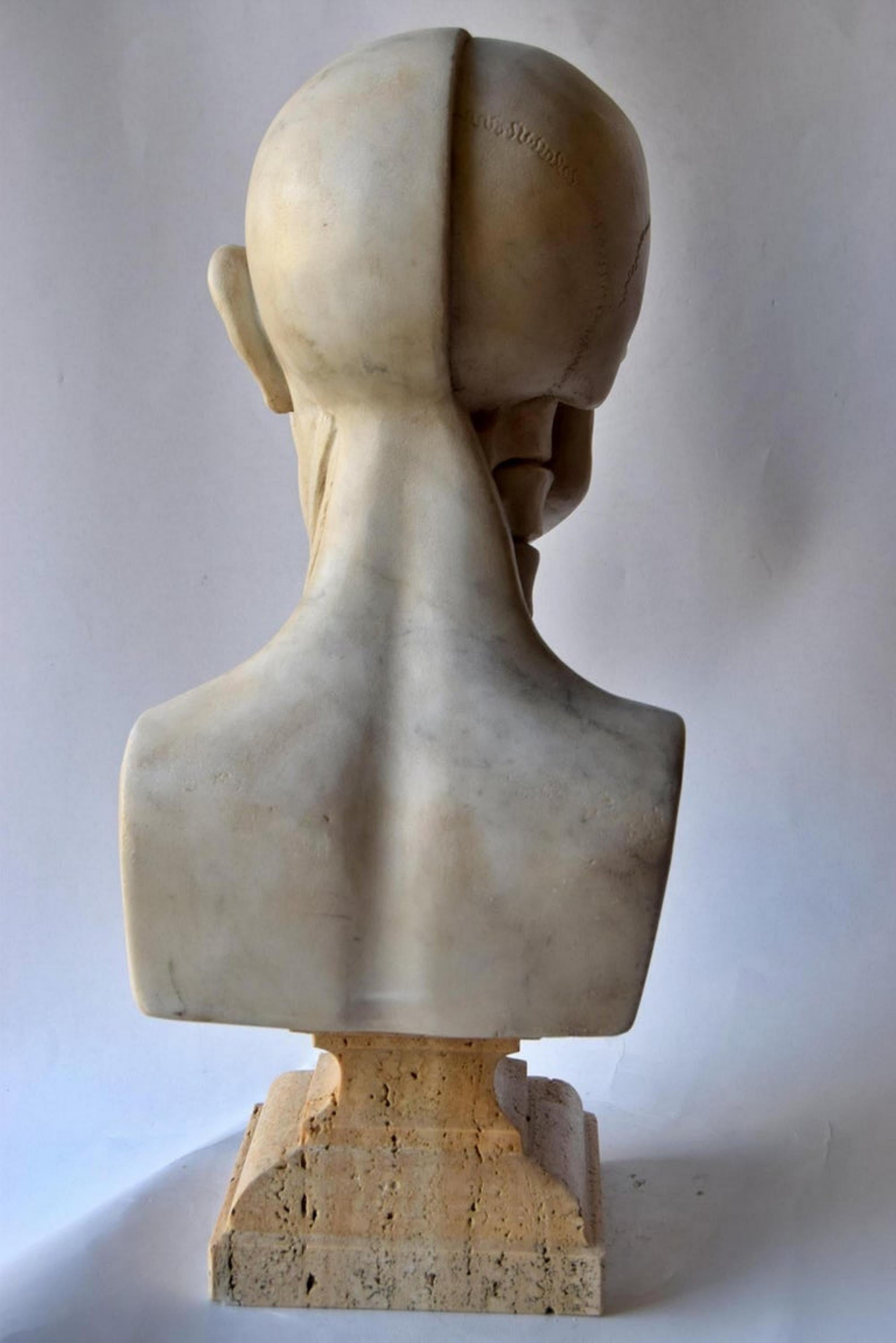 Anatomical Sculpture in White Carrara Marble, Early 20th Century For Sale 2