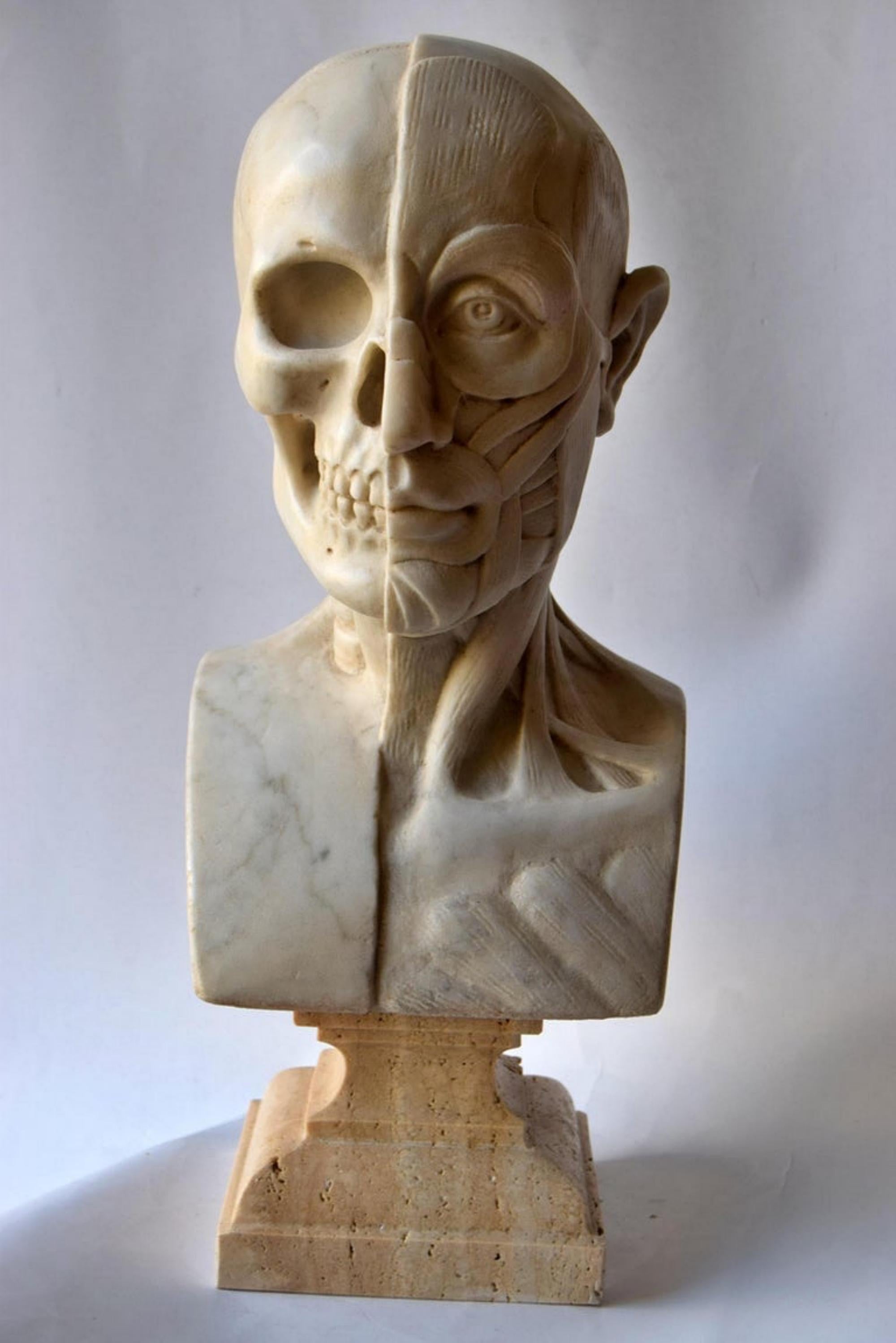 Anatomical Sculpture in White Carrara Marble, Early 20th Century For Sale 3