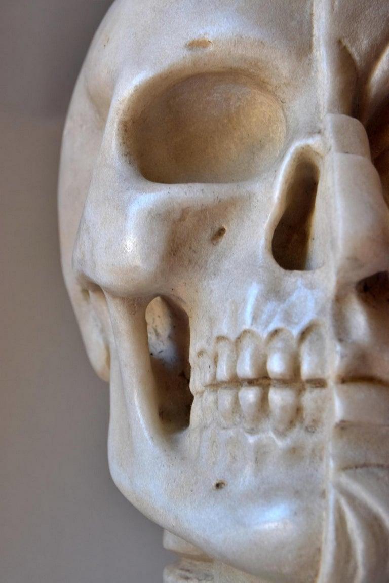 Scultura anatomica in marmo bianco di Carrara, inizio XX secolo in vendita 2