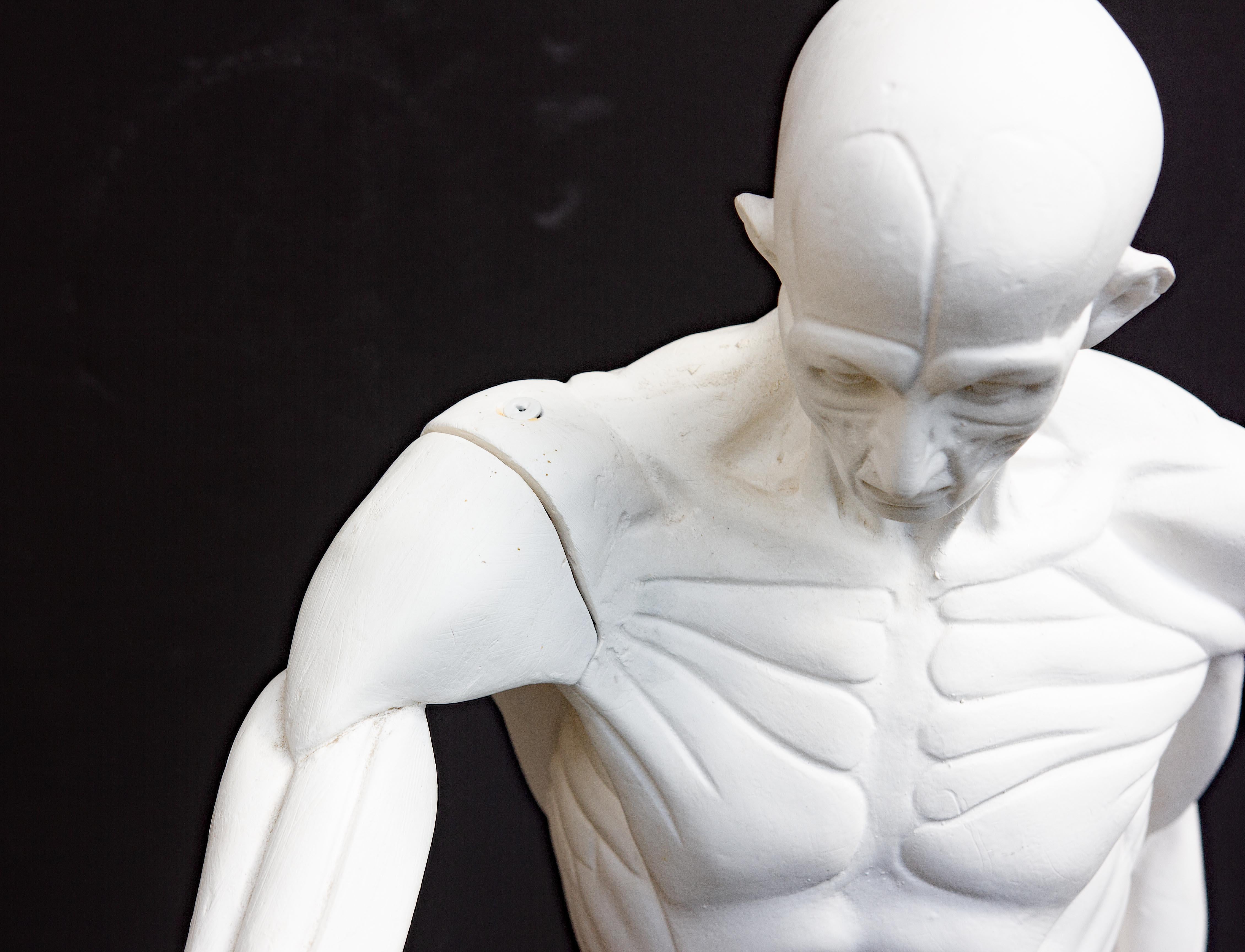 Anatomische Skulptur eines männlichen Aktes 