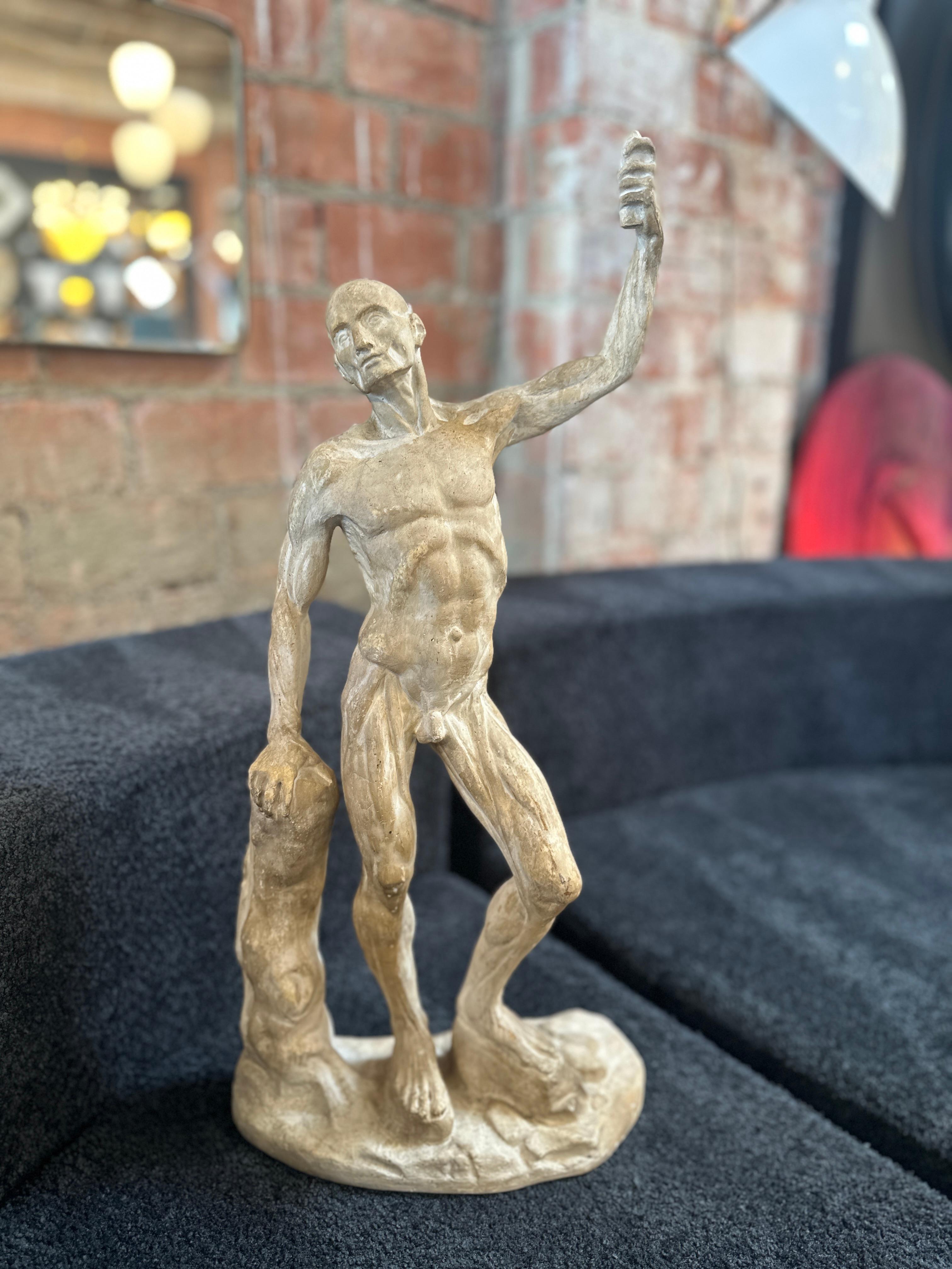 Anatomical Skeletal Cast, Italy 80s For Sale 4