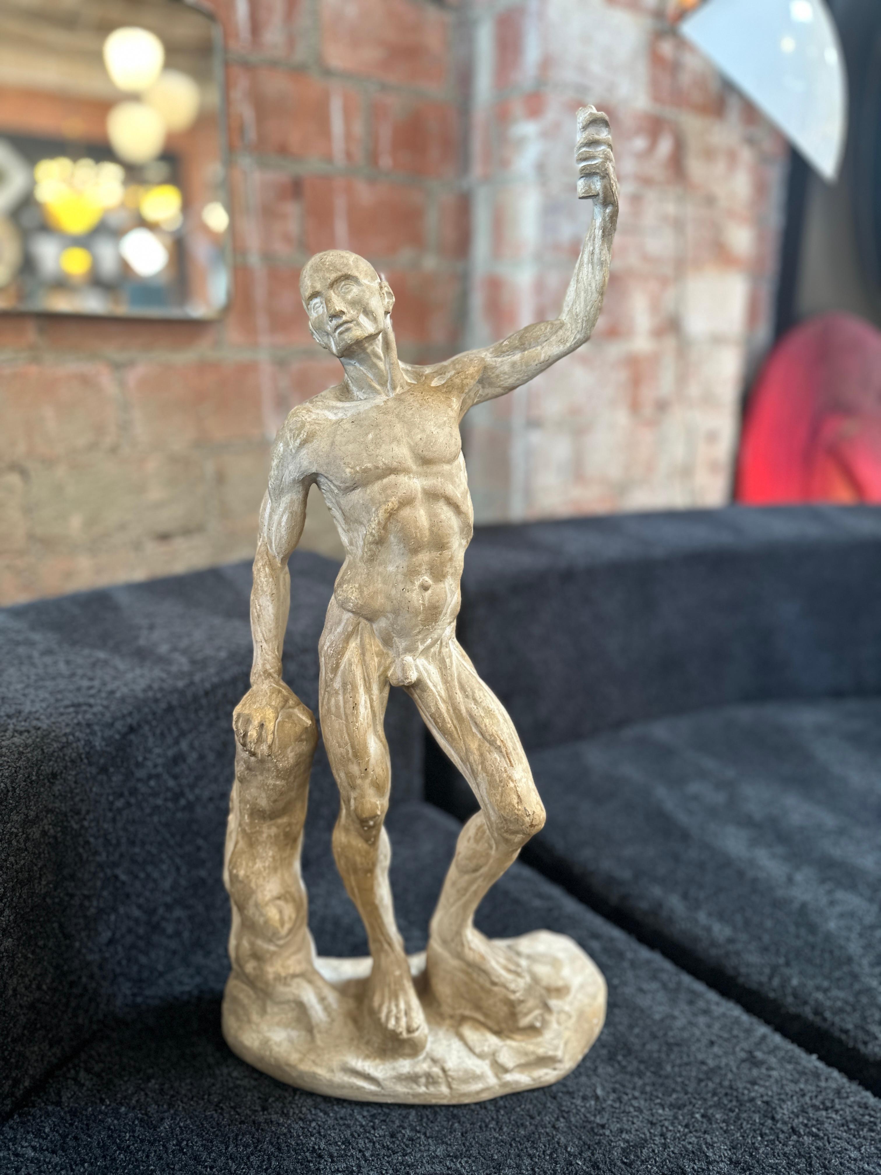 Anatomical Skeletal Cast, Italy 80s For Sale 5