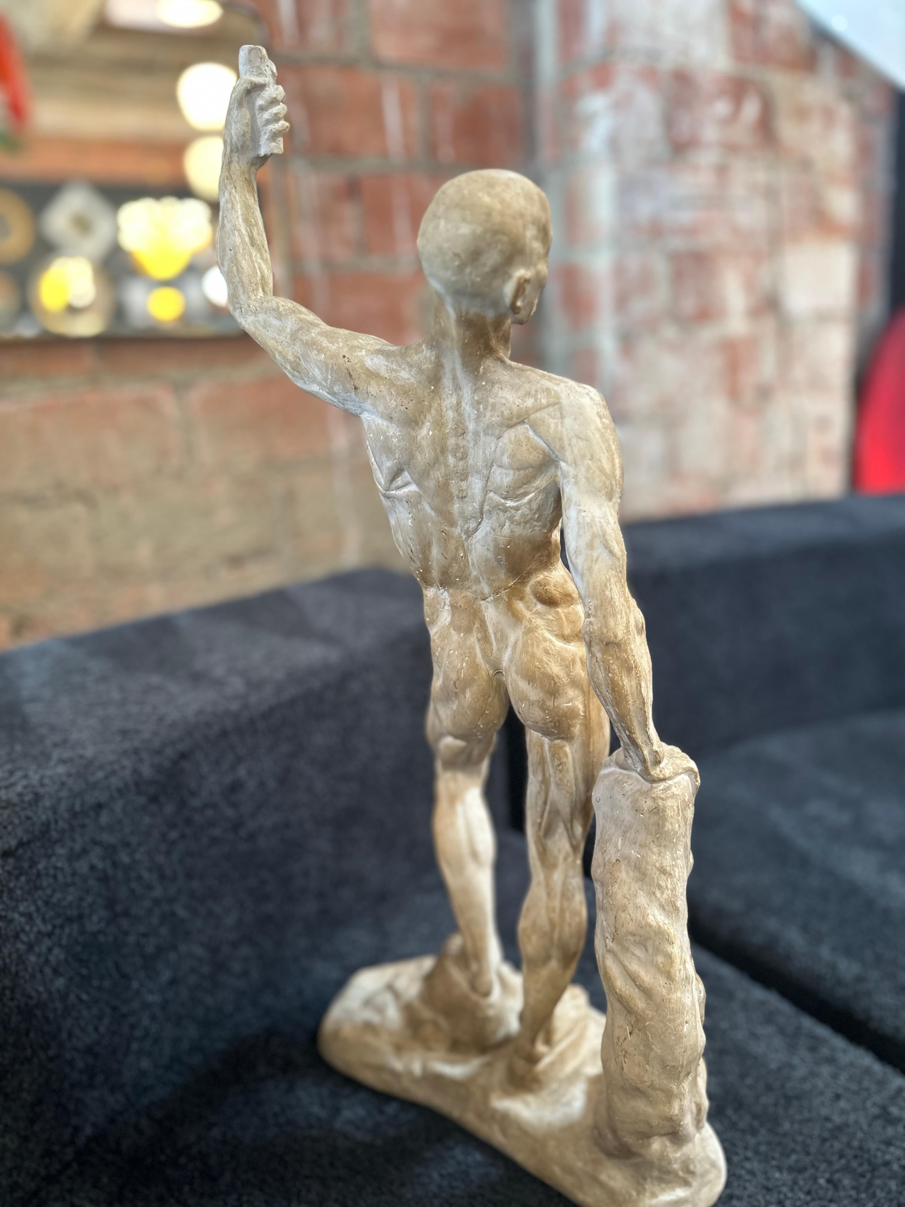 Late 20th Century Anatomical Skeletal Cast, Italy 80s For Sale