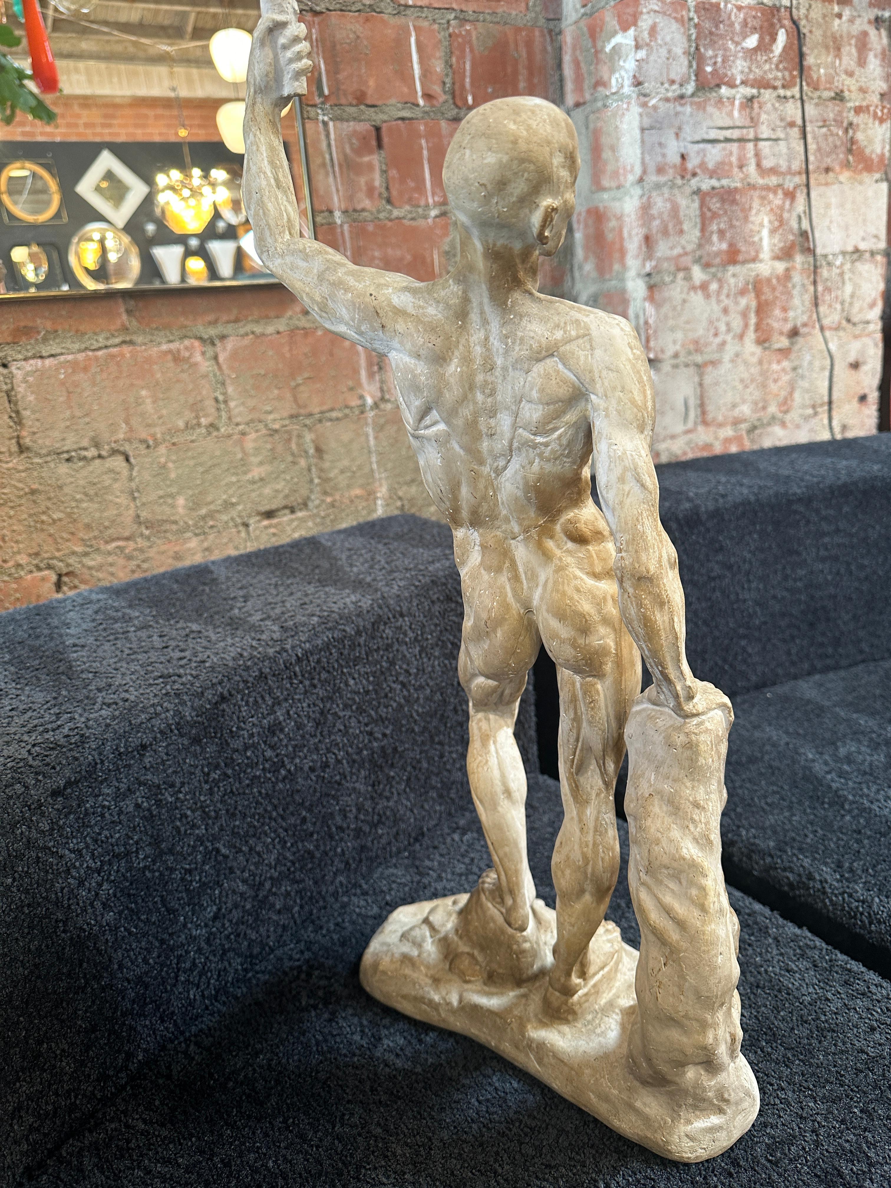 Plaster Anatomical Skeletal Cast, Italy 80s For Sale