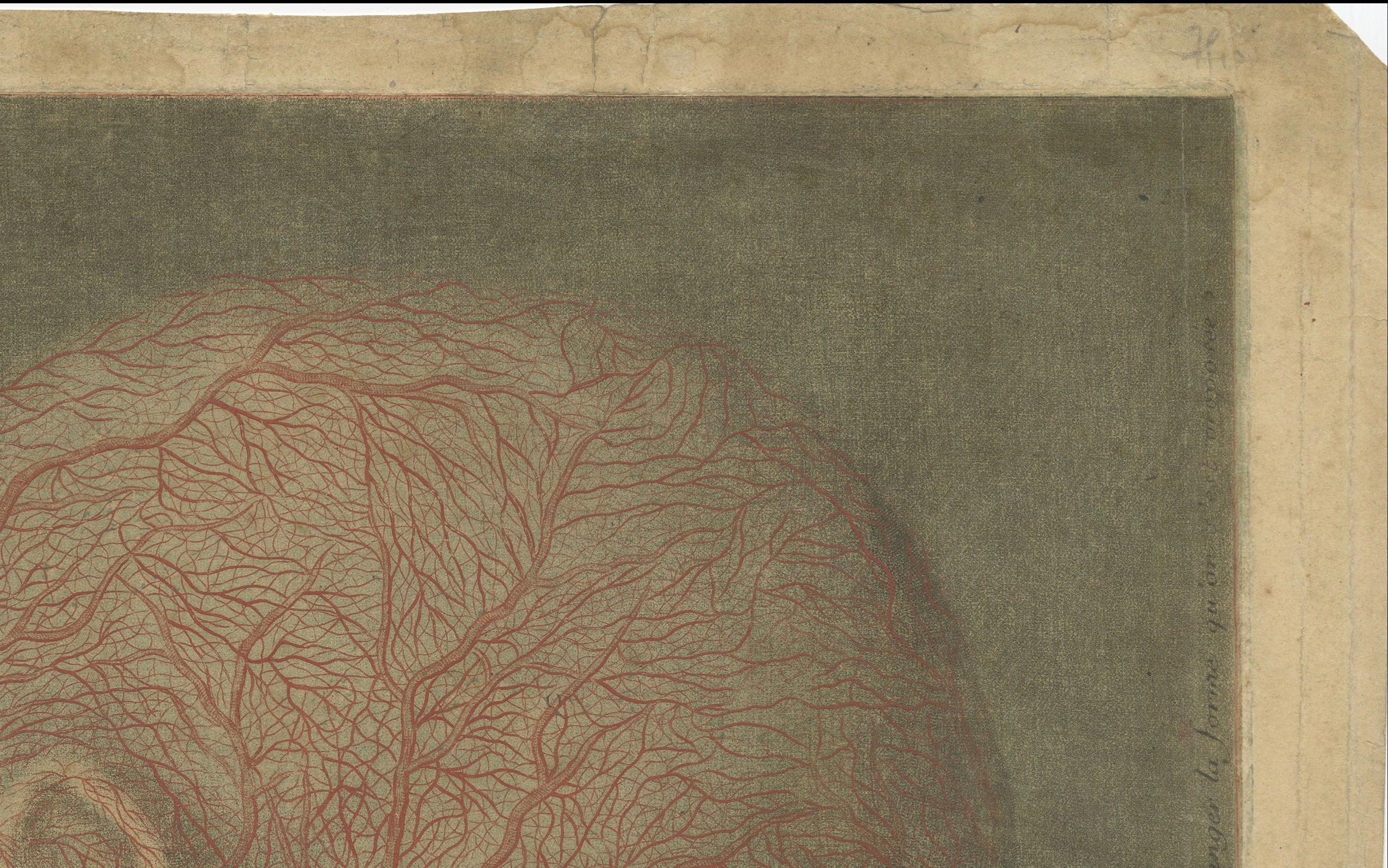 Anatomical Study of Head and Neck Veins – Rare Color Mezzotint, 1748 For Sale 5