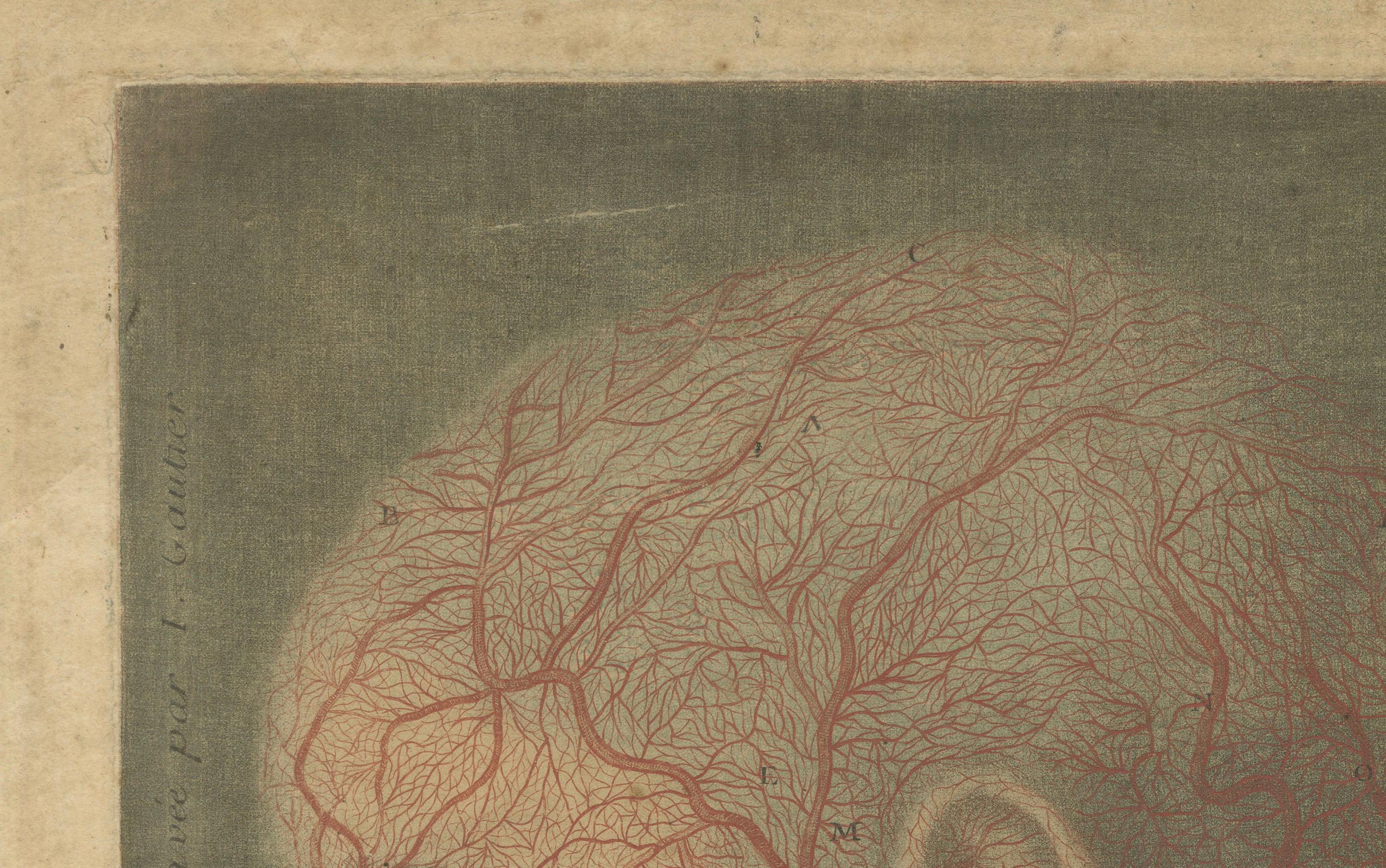 Anatomical Study of Head and Neck Veins – Rare Color Mezzotint, 1748 For Sale 4