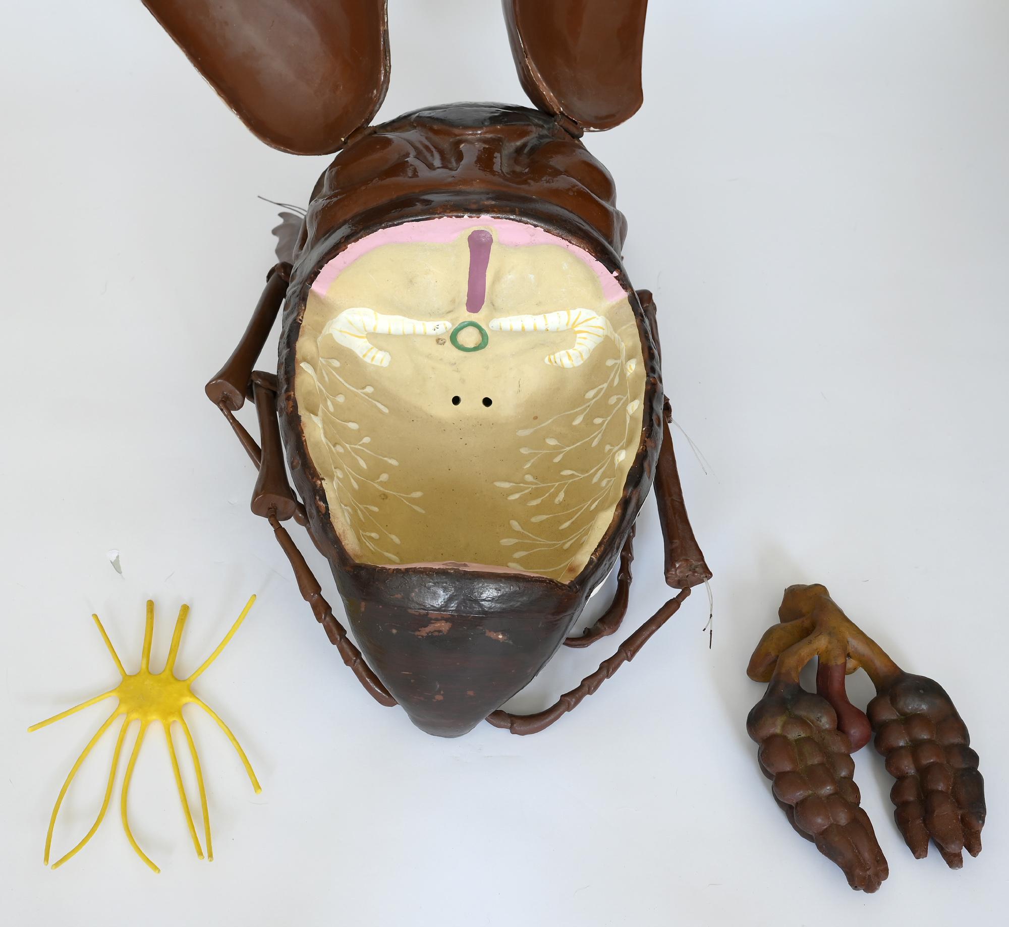 Grande modello anatomico smontabile di scarabeo Melolontha 1930 tedesco In condizioni buone in vendita a Epfach, DE