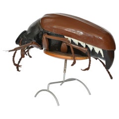 Large Anatomical Removable Model Cockchafer Beetle Melolontha 1930 German