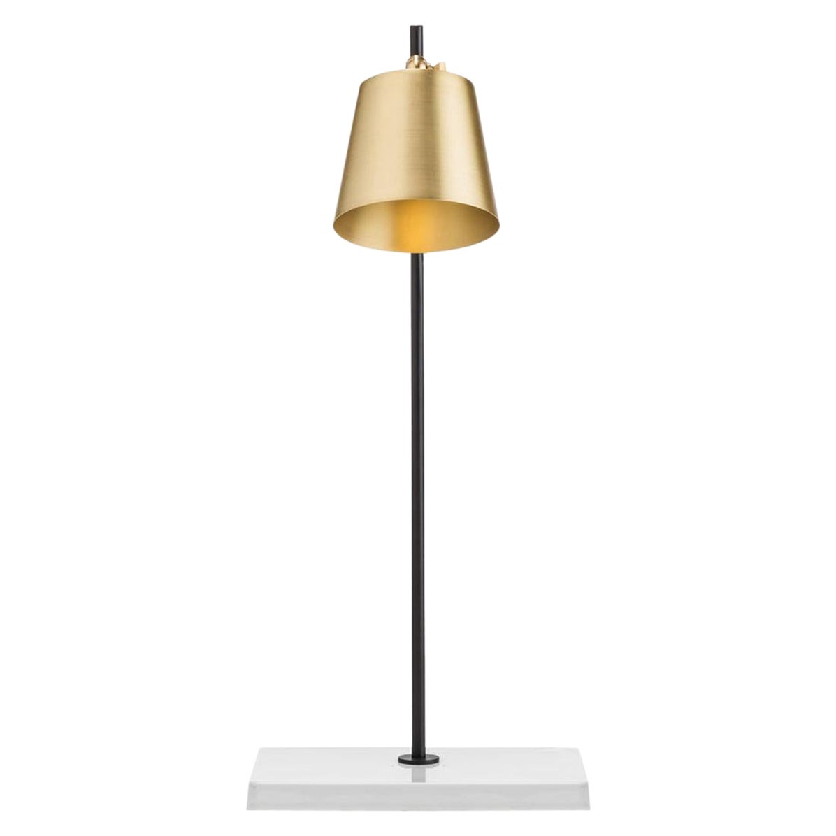 Anatomy Design 'Lab Light Table' Ottone, porcellana e acciaio di Karakter