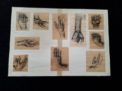 Anatomiezeichnung der Hand im Stil von Mano del Pache
