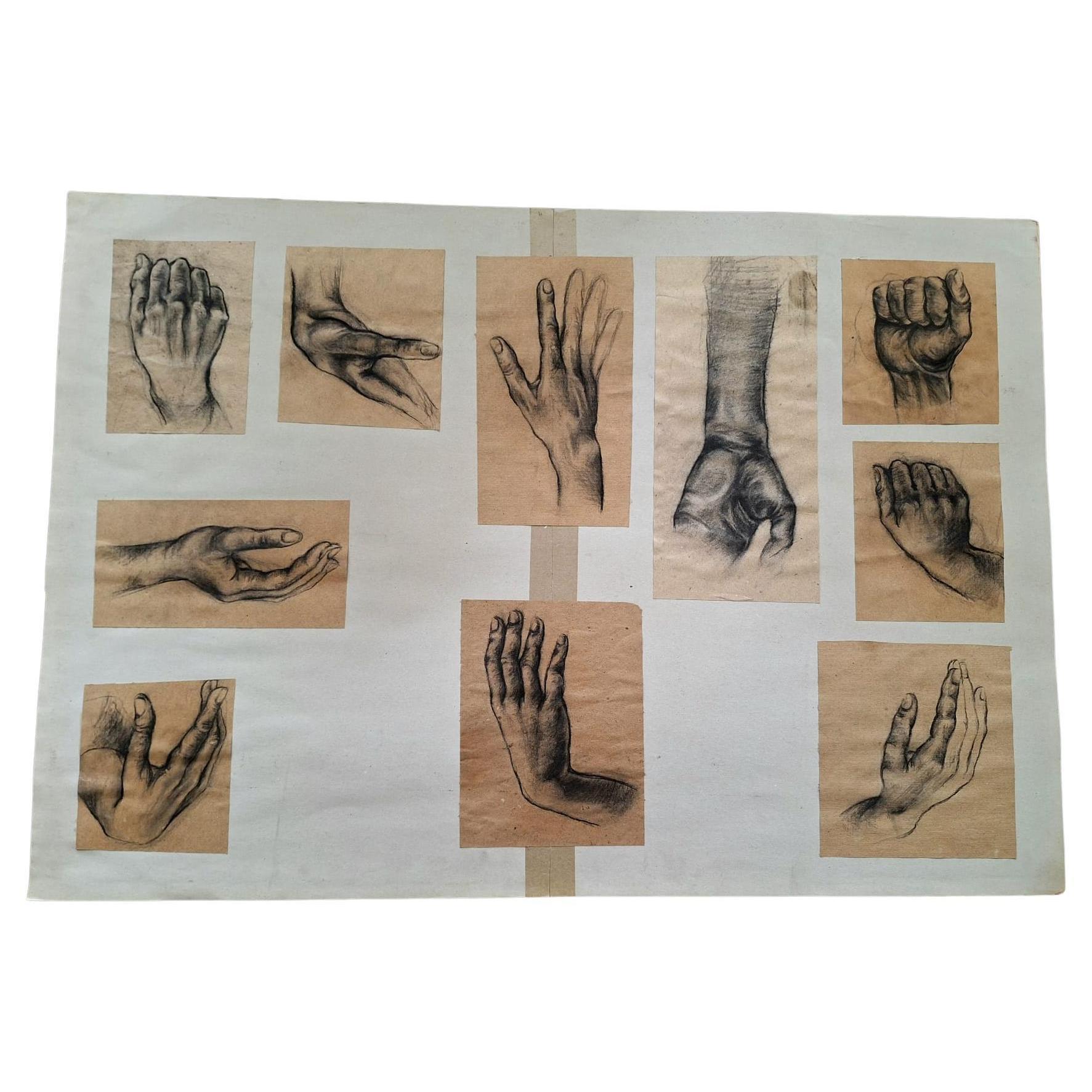 Dibujo Anatómico de la Mano al Estilo de Mano del Pache
