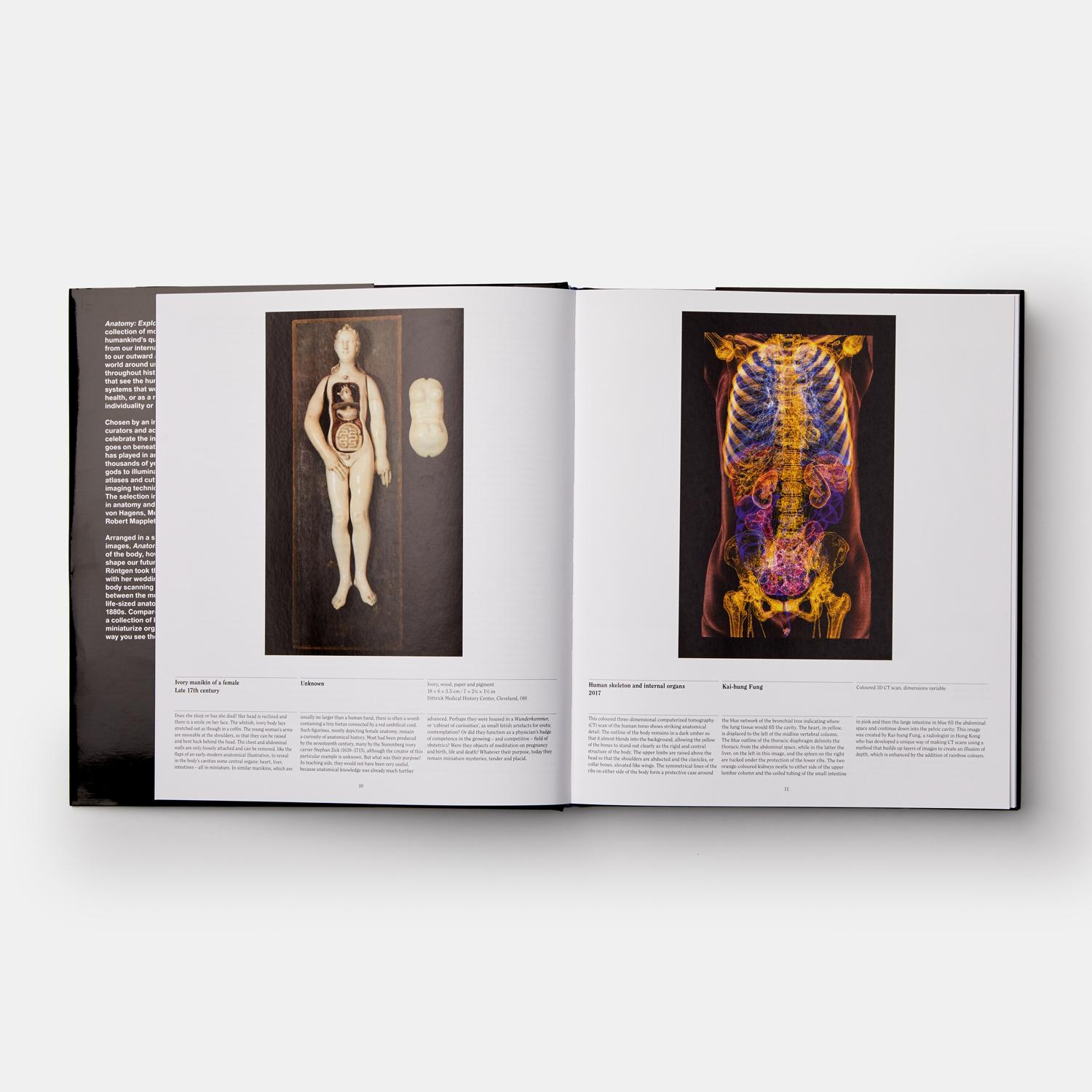 Anatomy Exploring the Human Body In New Condition For Sale In New York City, NY