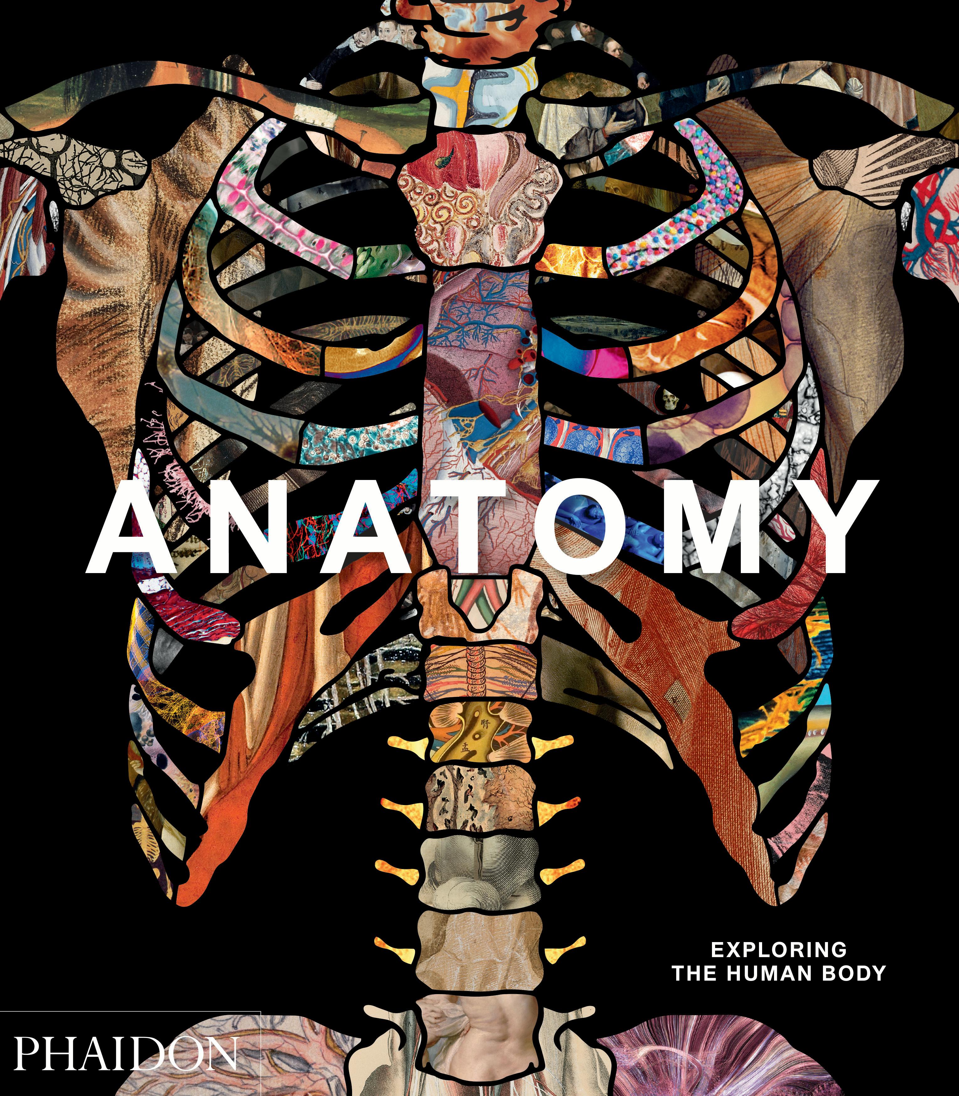 Contemporary Anatomy Exploring the Human Body For Sale