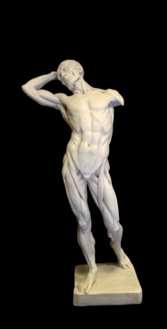 Anatomy of a Man Marble Sculpture, 20th Century
