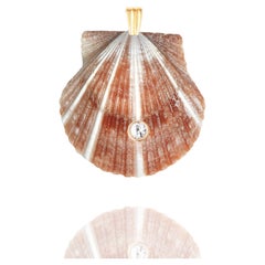 Anaya Natural Shell Pendant with 14k Gold and Natural White Sapphire Gemstone
