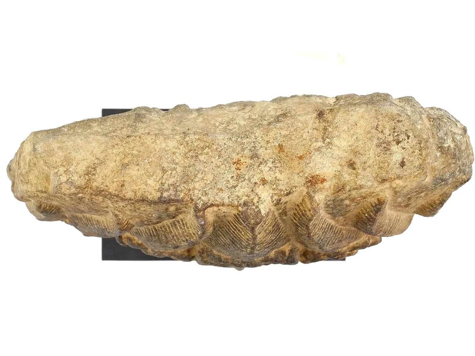 Arenaria Antica testa di Apsara in pietra arenaria del XII secolo con C.C. in vendita
