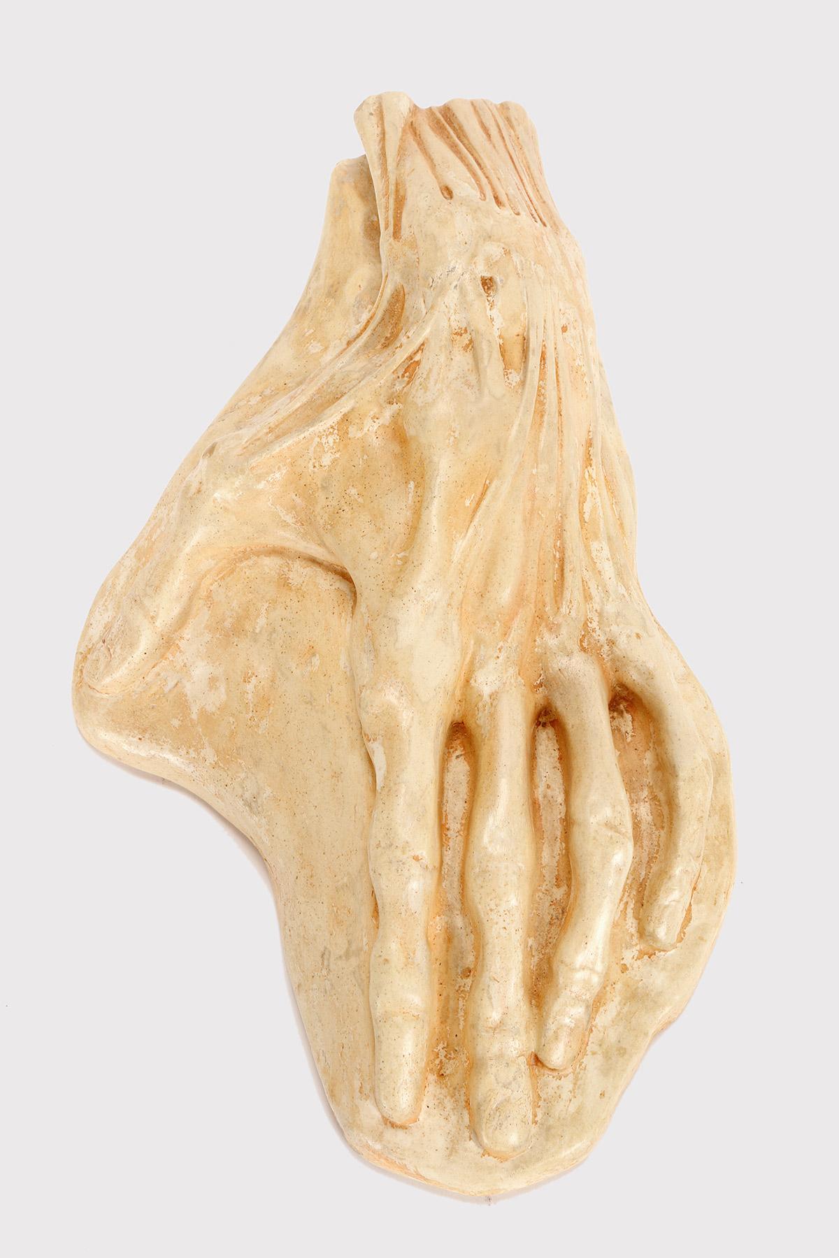 Modèle anatomique pour les écoles, à usage pédagogique, représentant une main écorchée. En plâtre, en excellent état et avec la patine d'origine. Utilisation pour l'étude anatomique. Italie vers 1900.