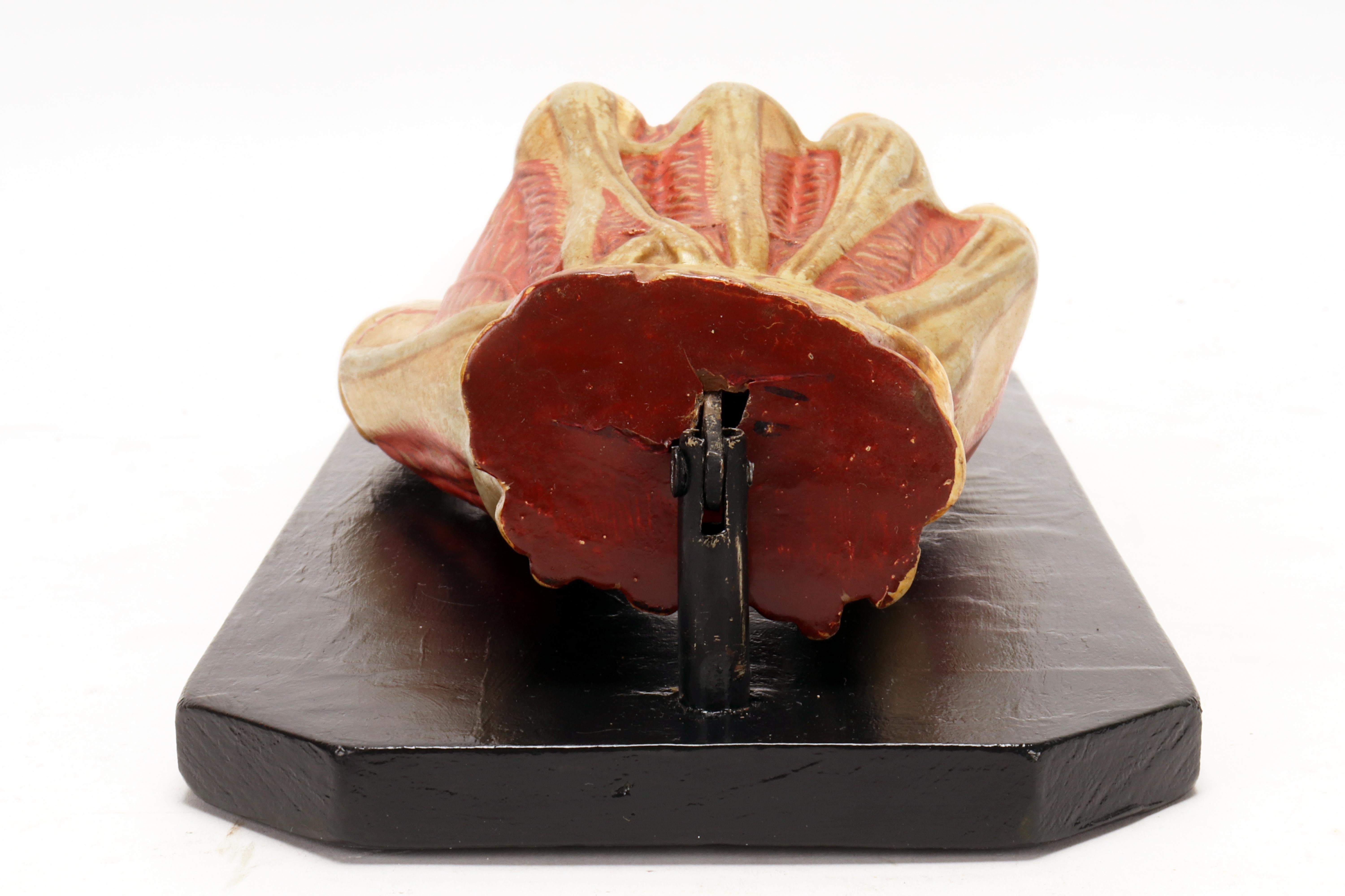 Ancient anatomical model of the hand, Italy 1900. For Sale 7