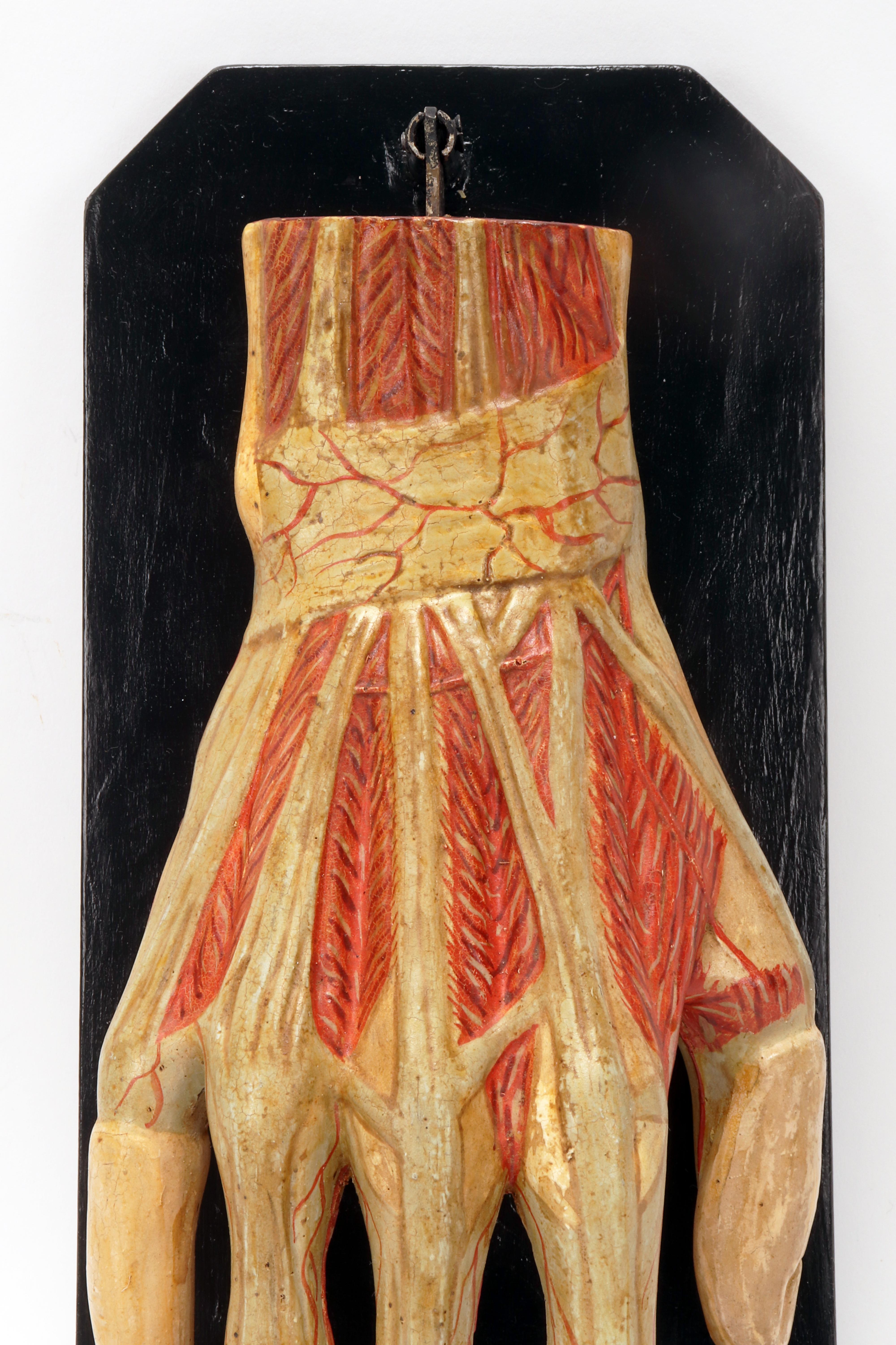 Italian Ancient anatomical model of the hand, Italy 1900. For Sale