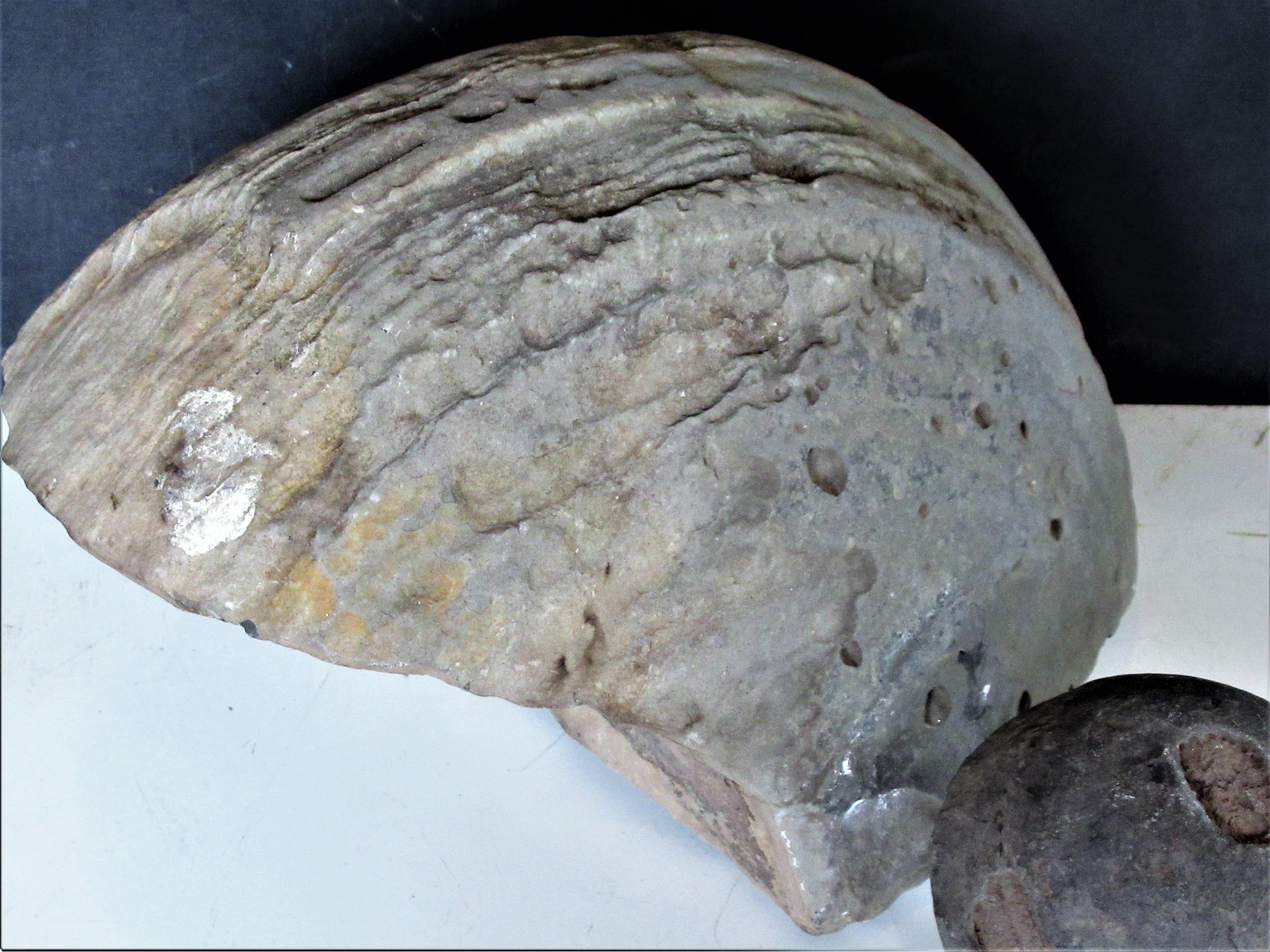 concretions for sale