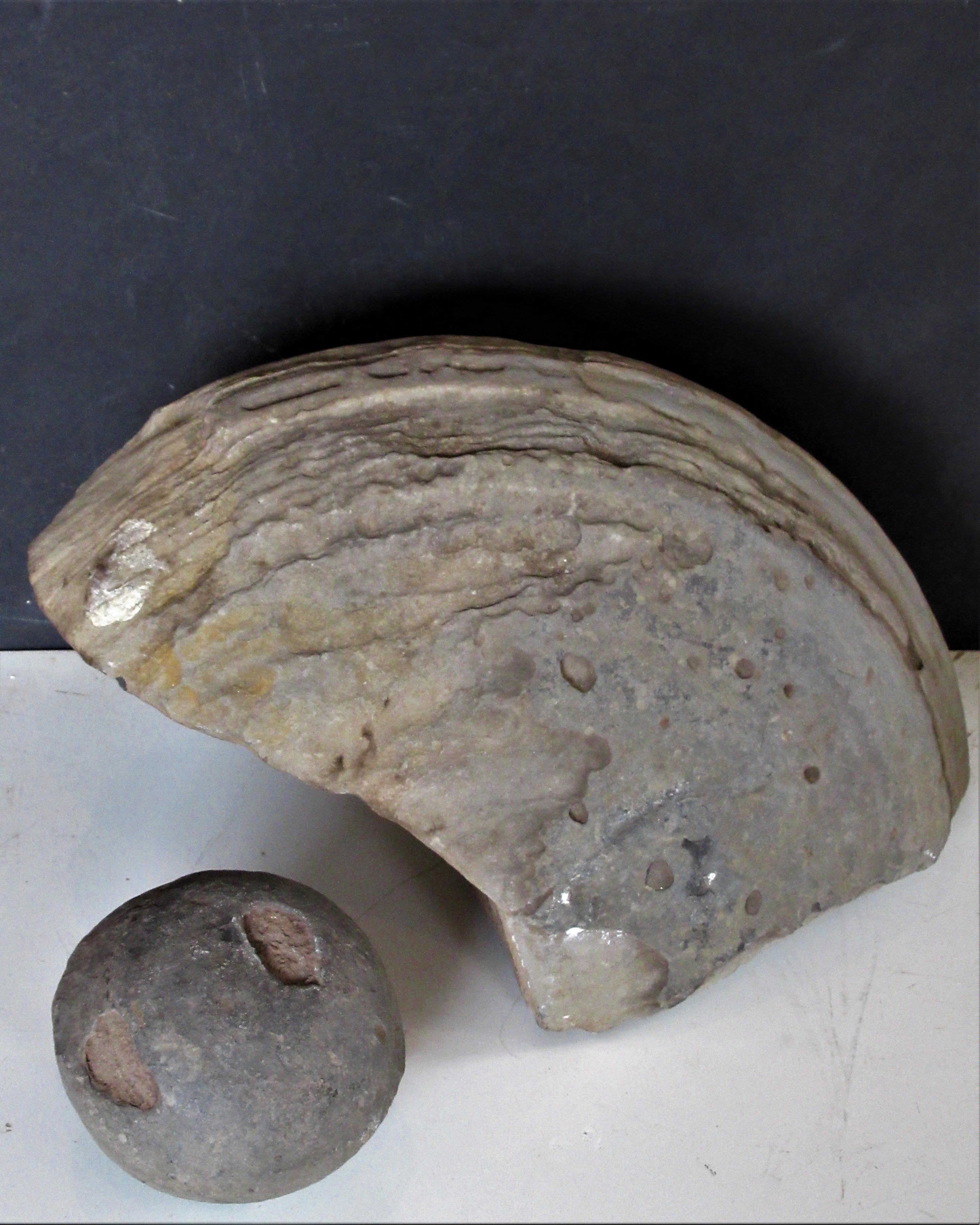 Prehistoric Ancient Concretion Geological Specimen