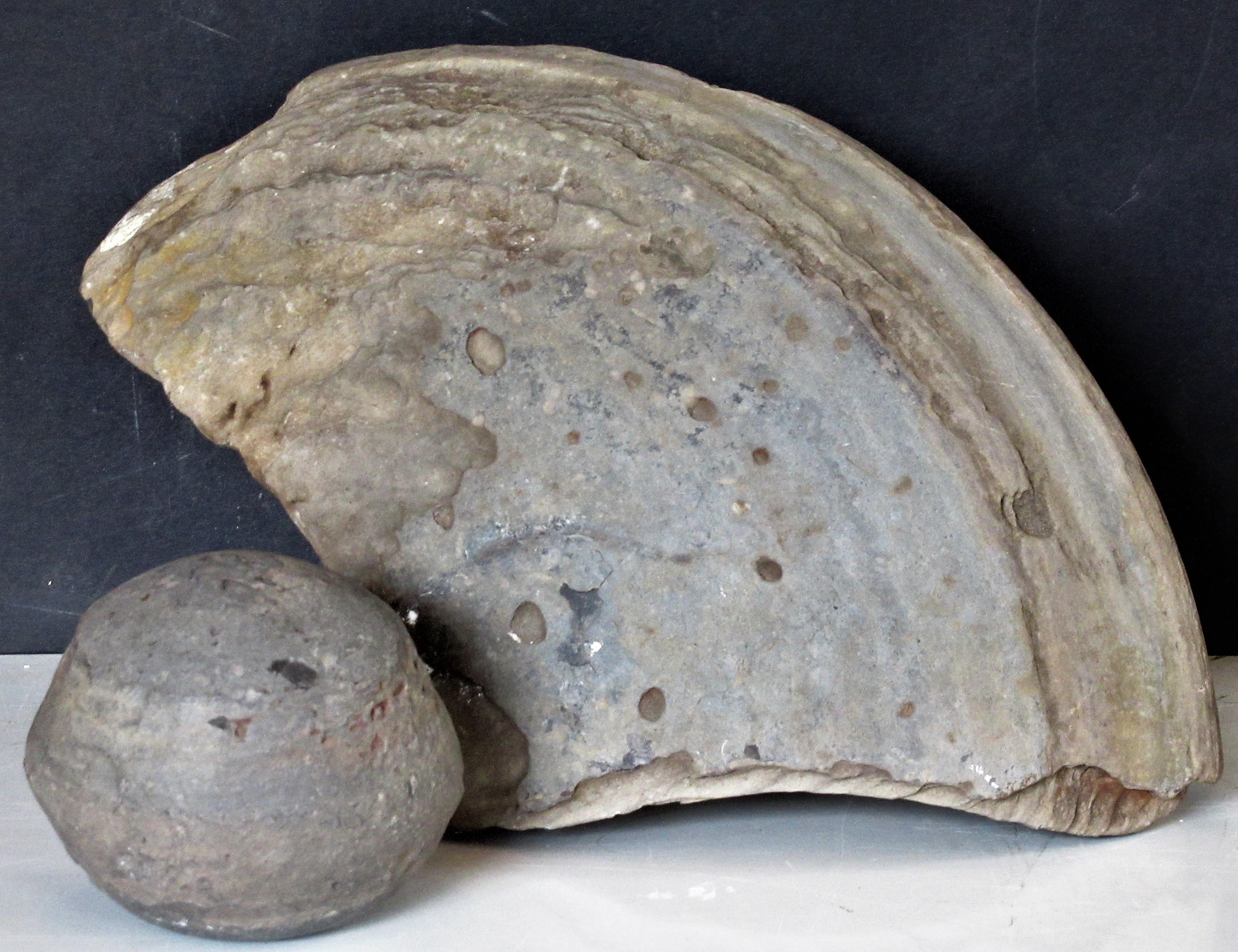 American Ancient Concretion Geological Specimen