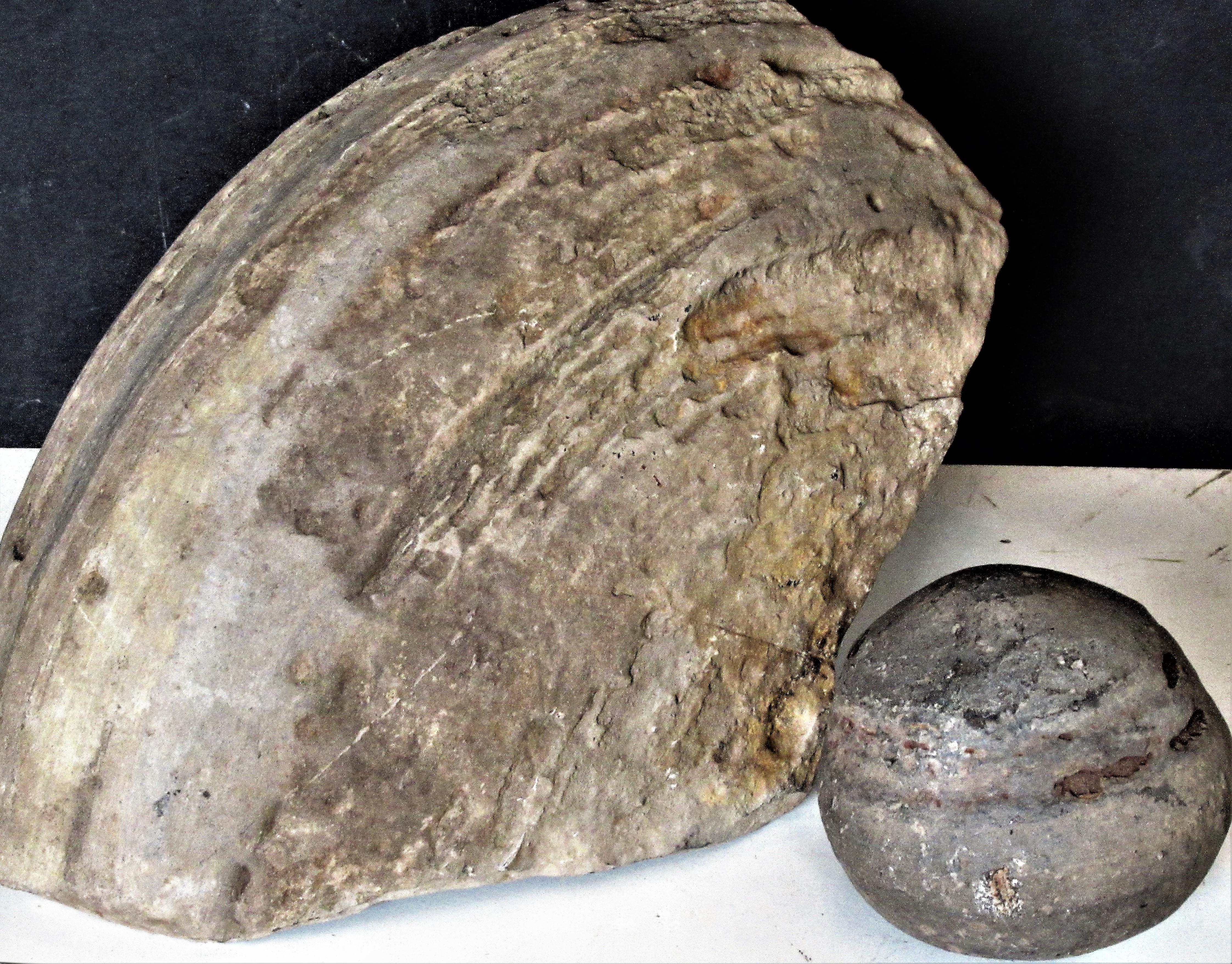 Ancient Concretion Geological Specimen In Good Condition In Rochester, NY
